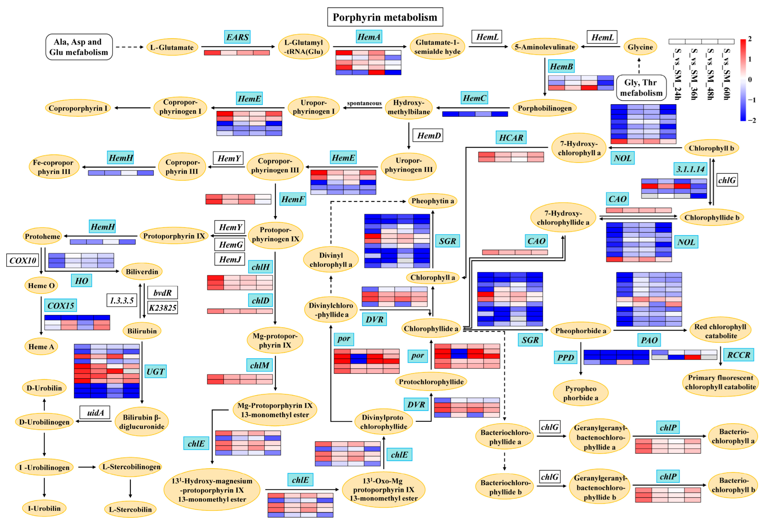 Plants 12 03984 g009