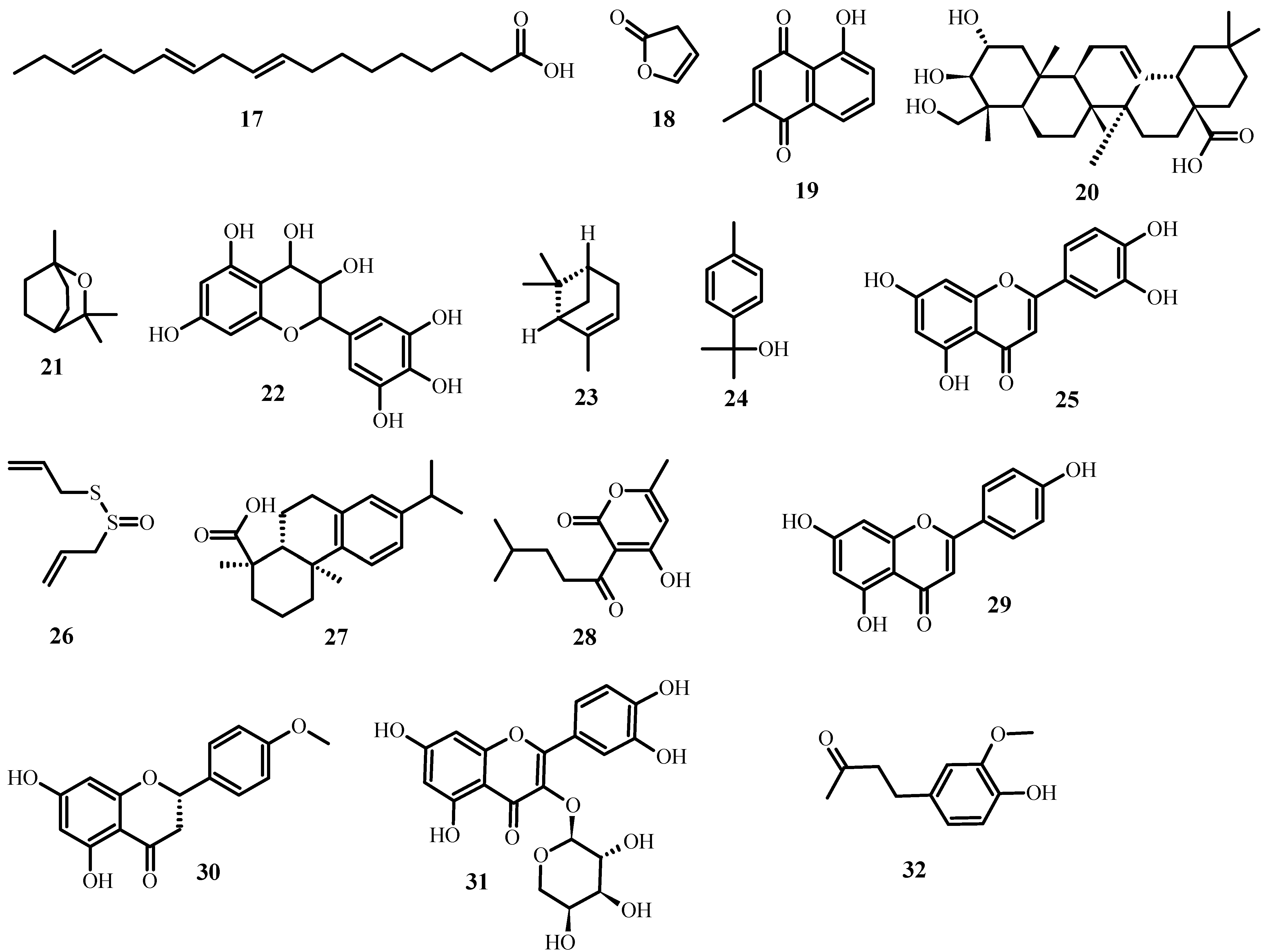 Plants 12 03997 g003