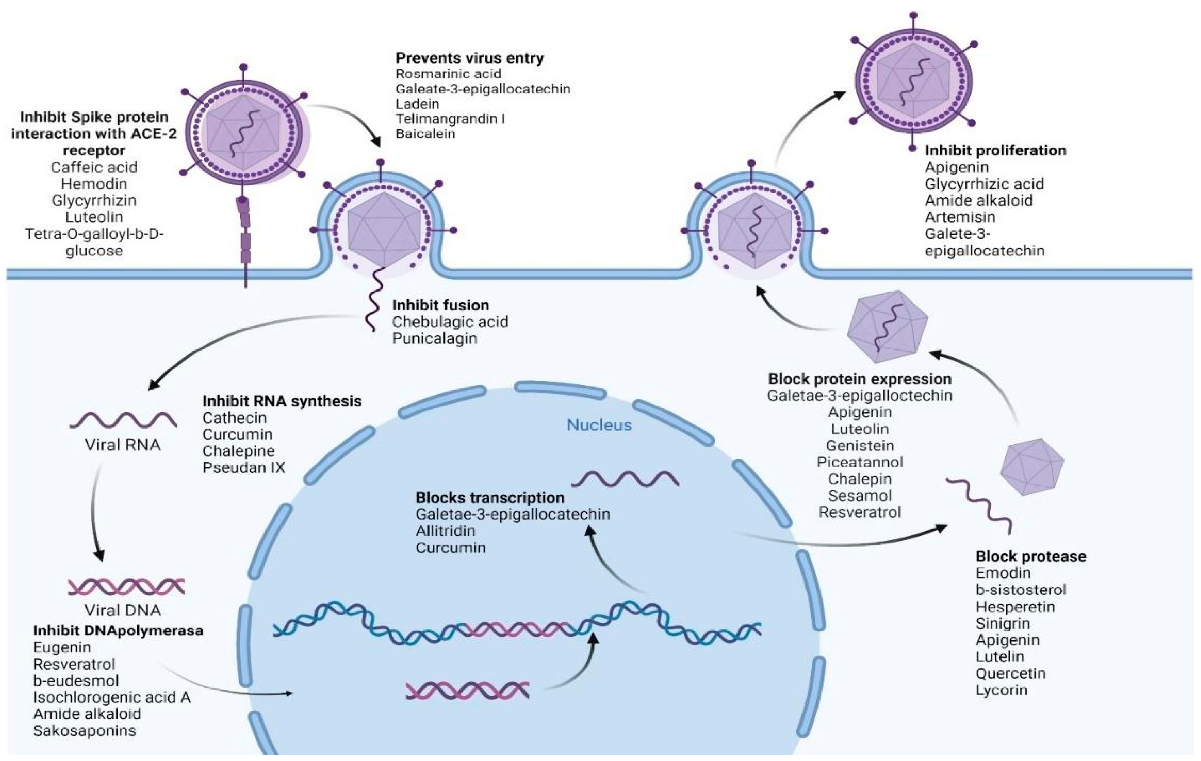 Plants 12 03997 g004