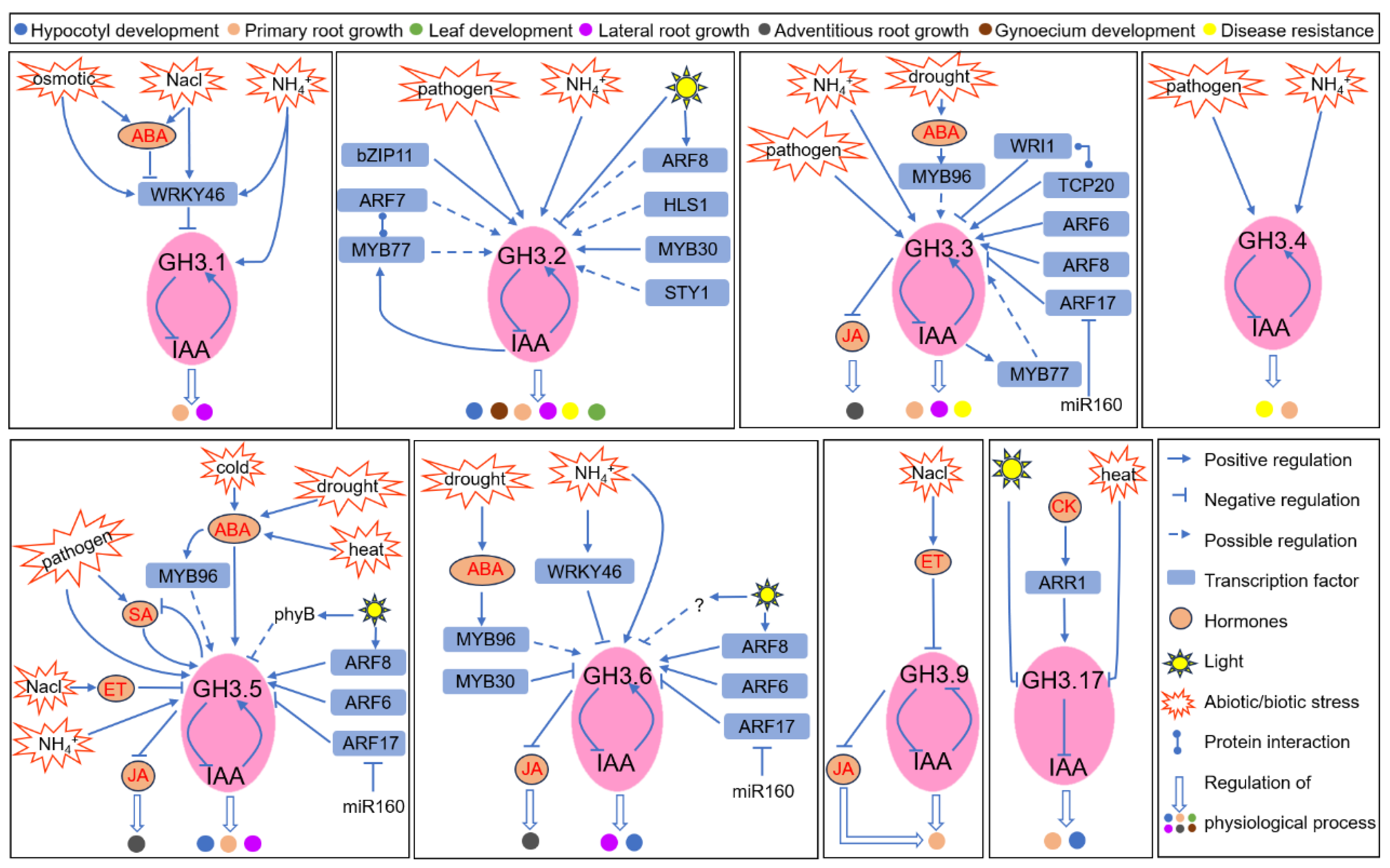 Plants 12 04111 g002