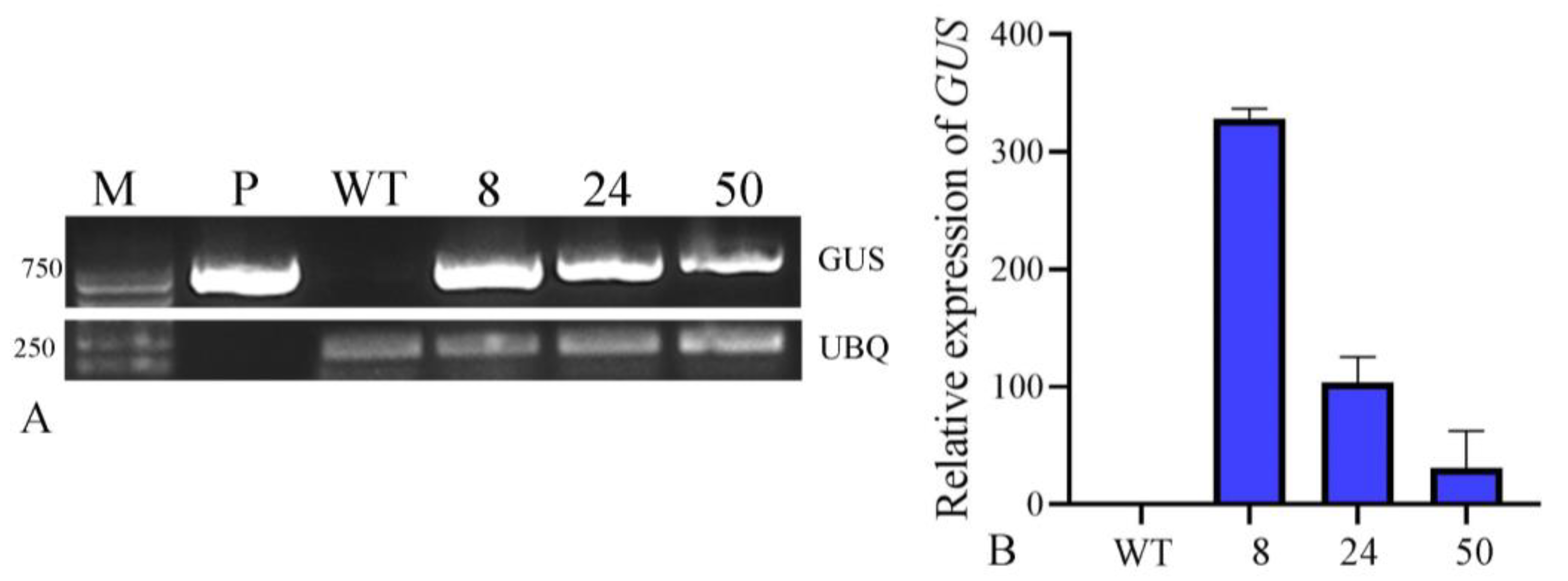 Plants 12 04130 g007