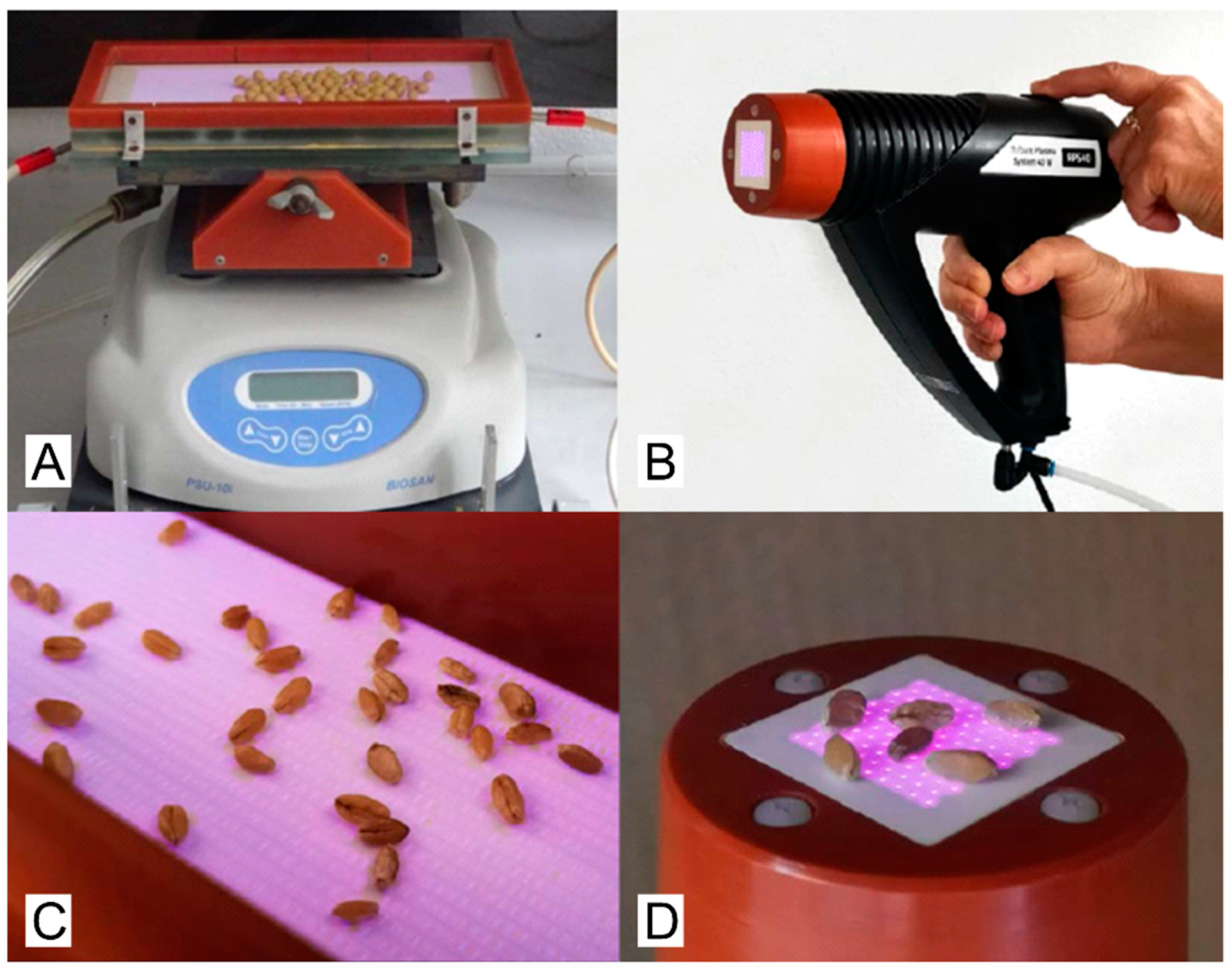 Plants 12 04172 g005