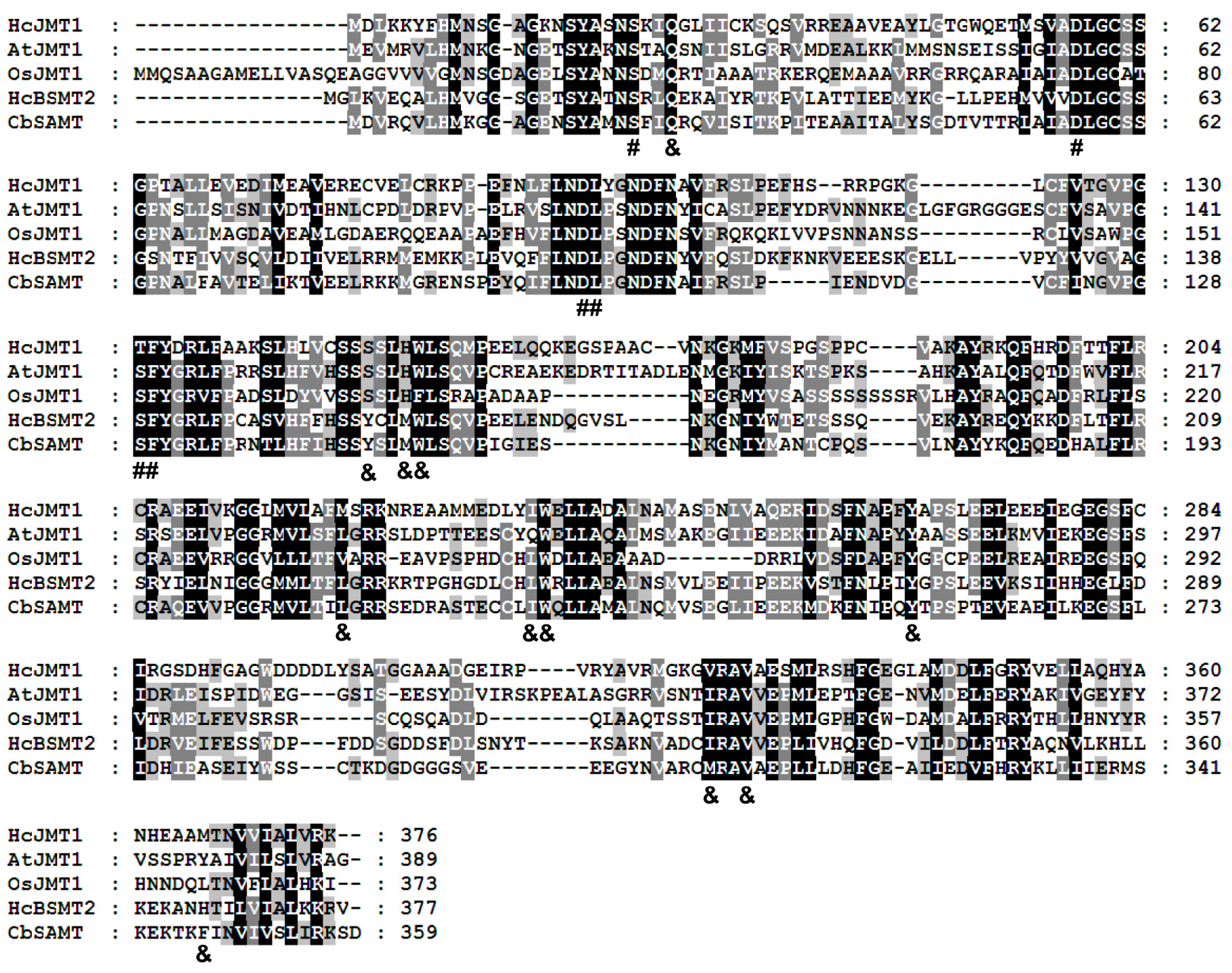 Plants 13 00008 g004