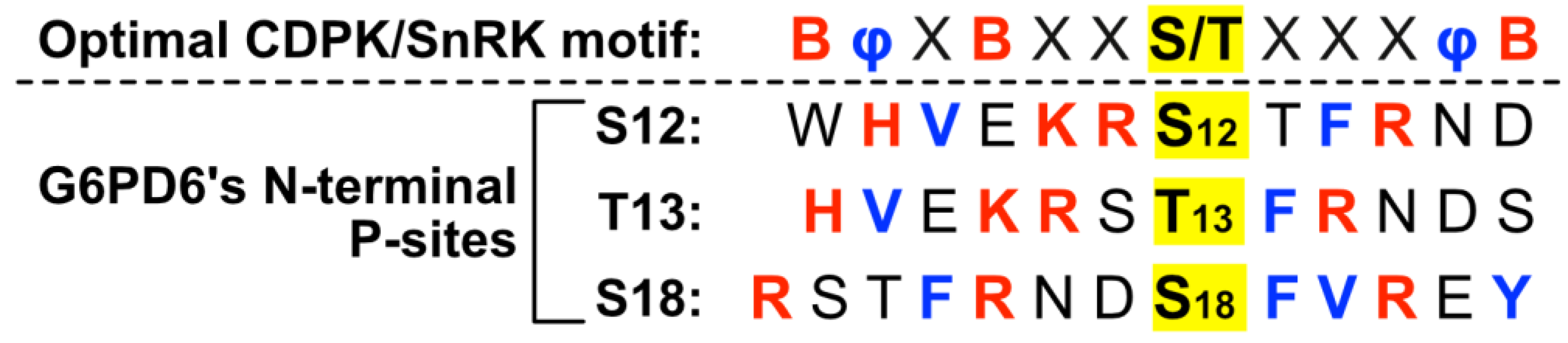 Plants 13 00031 g003