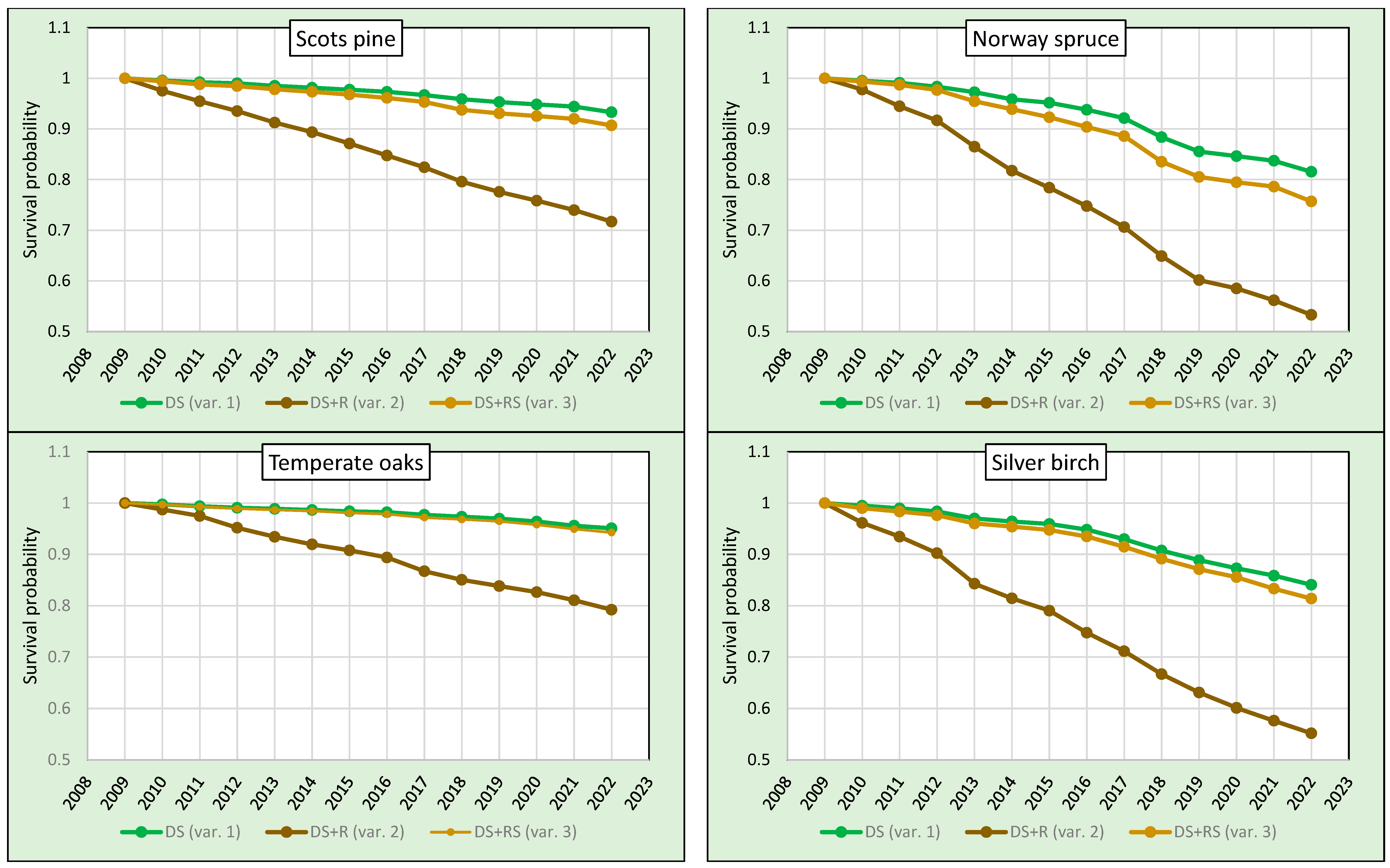 Plants 13 00248 g001