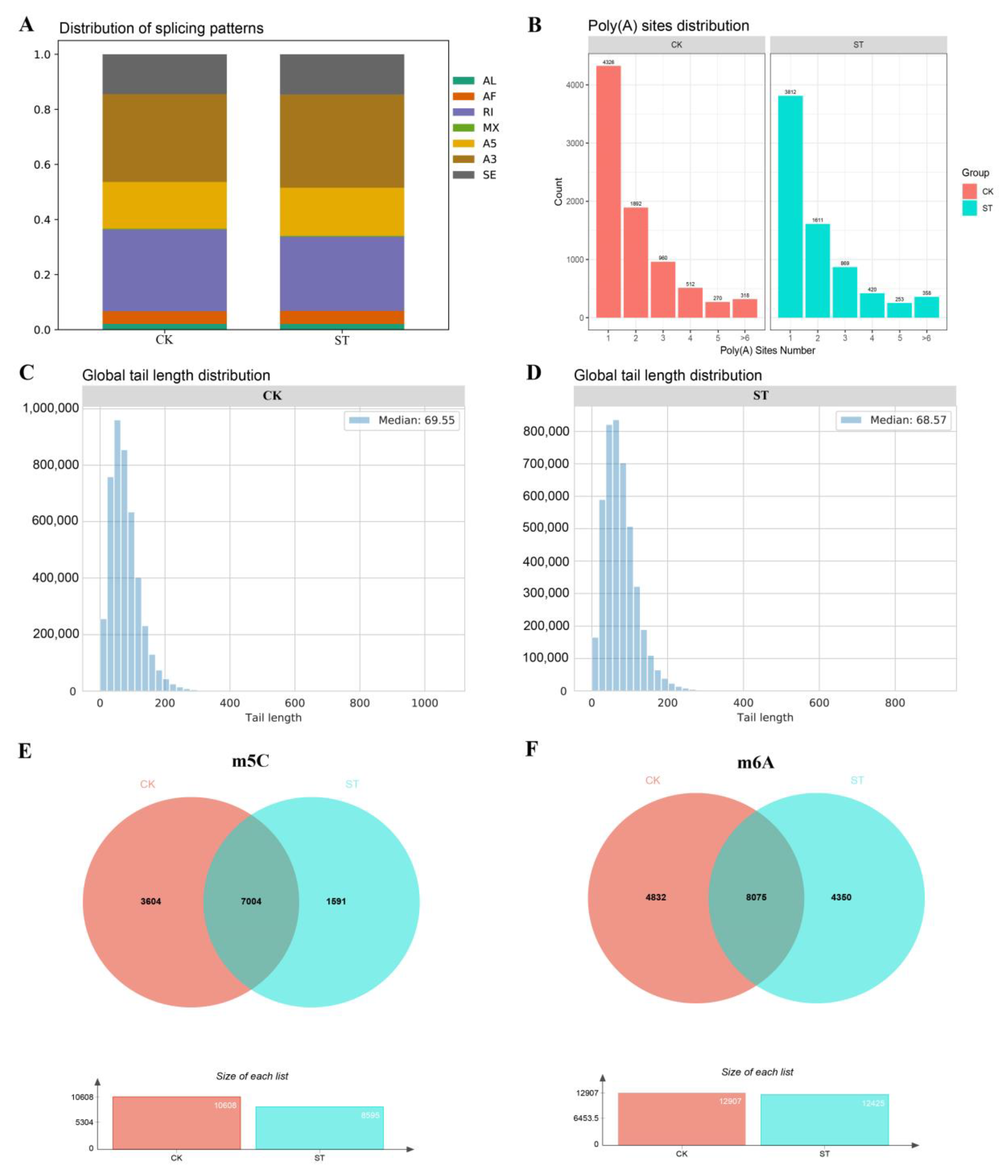 Plants 13 00405 g006
