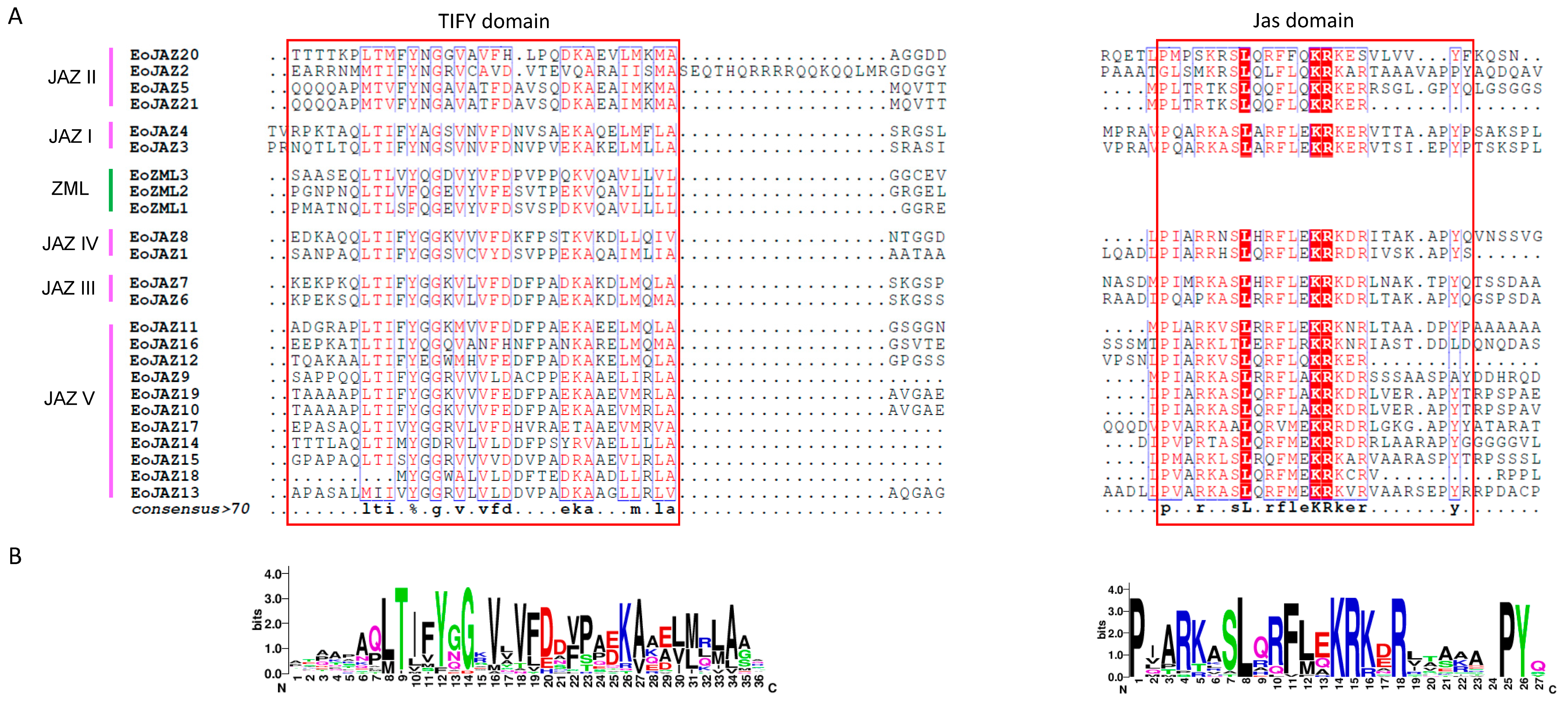 Plants 13 00462 g003