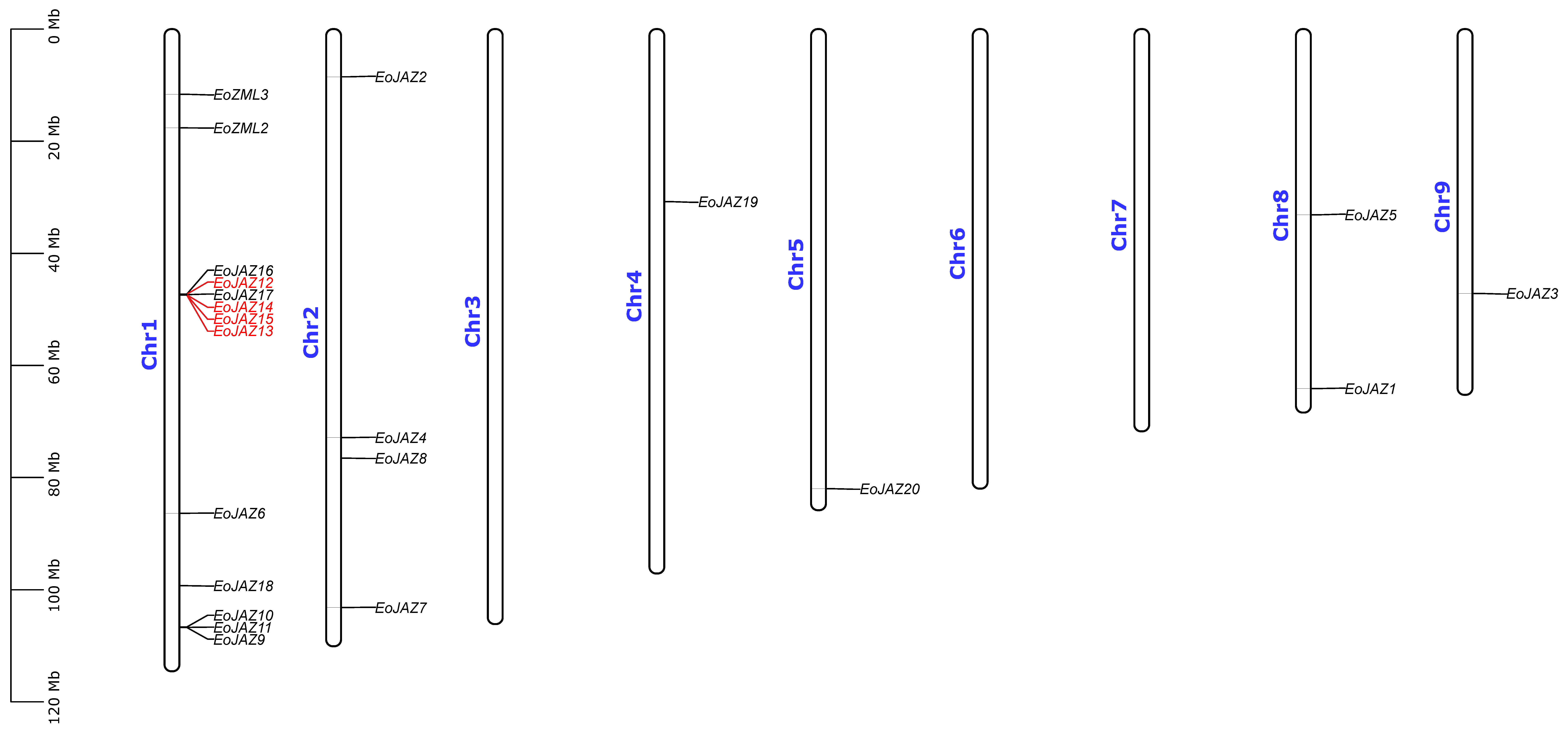 Plants 13 00462 g004