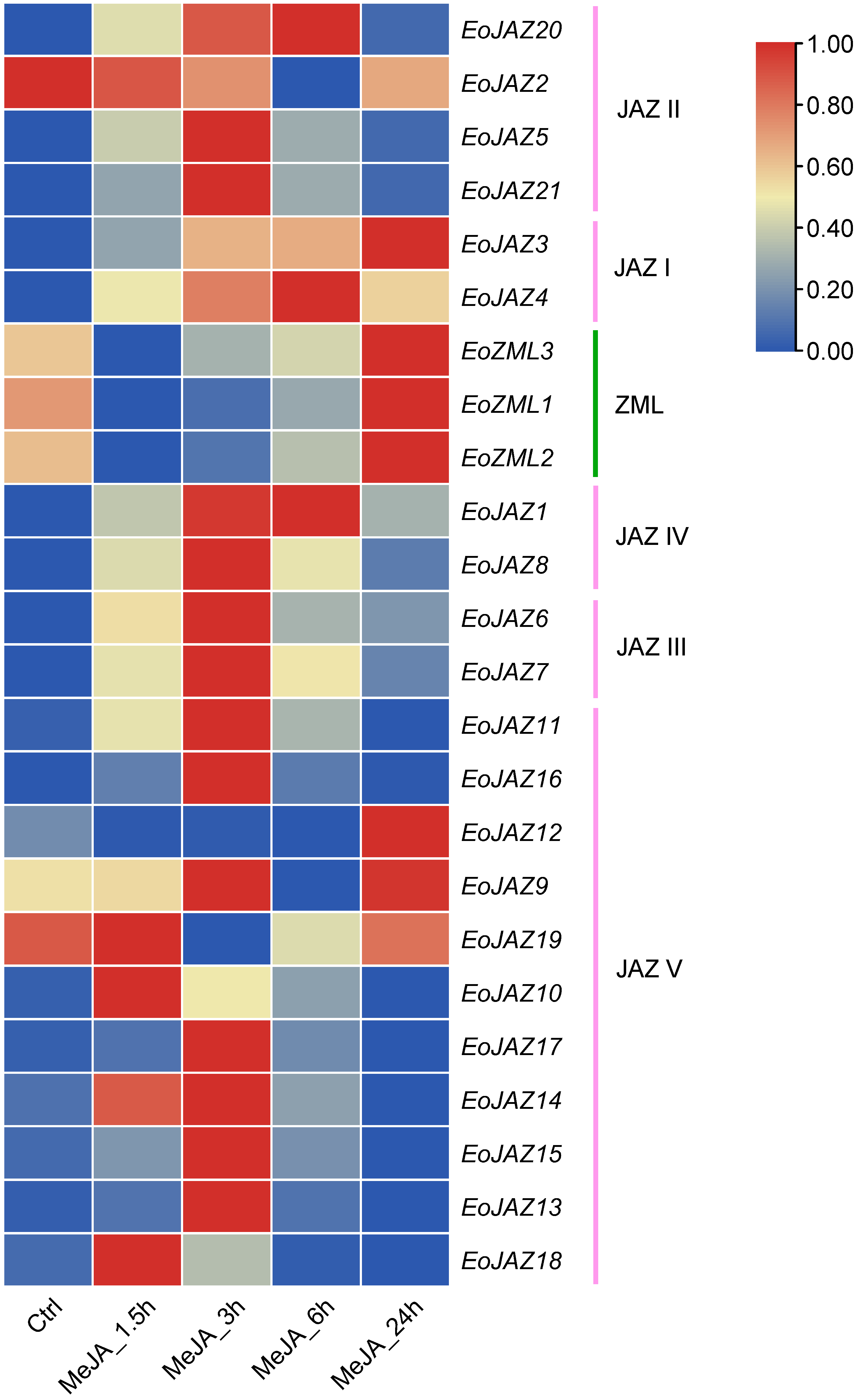 Plants 13 00462 g008
