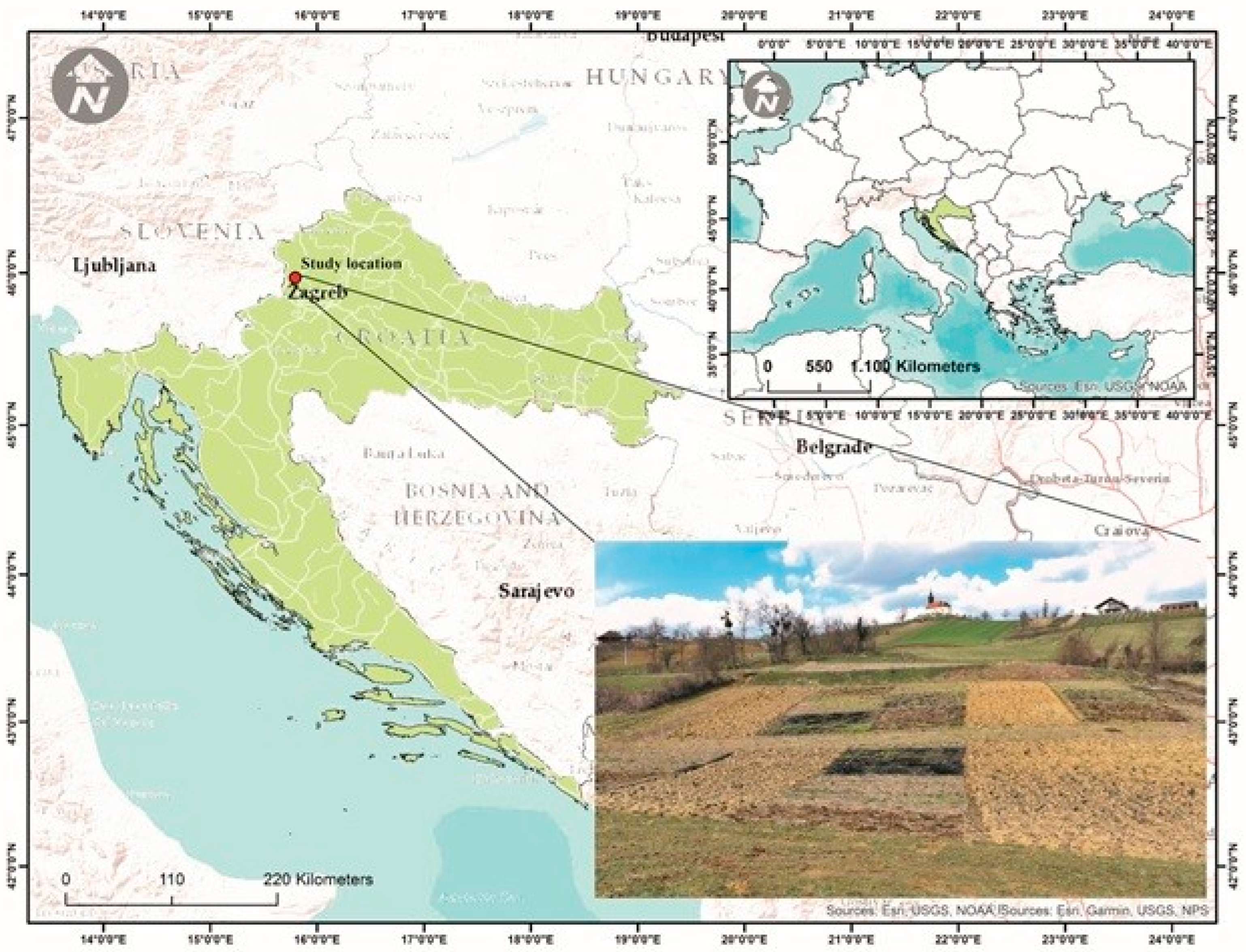 Plants 13 00607 g005