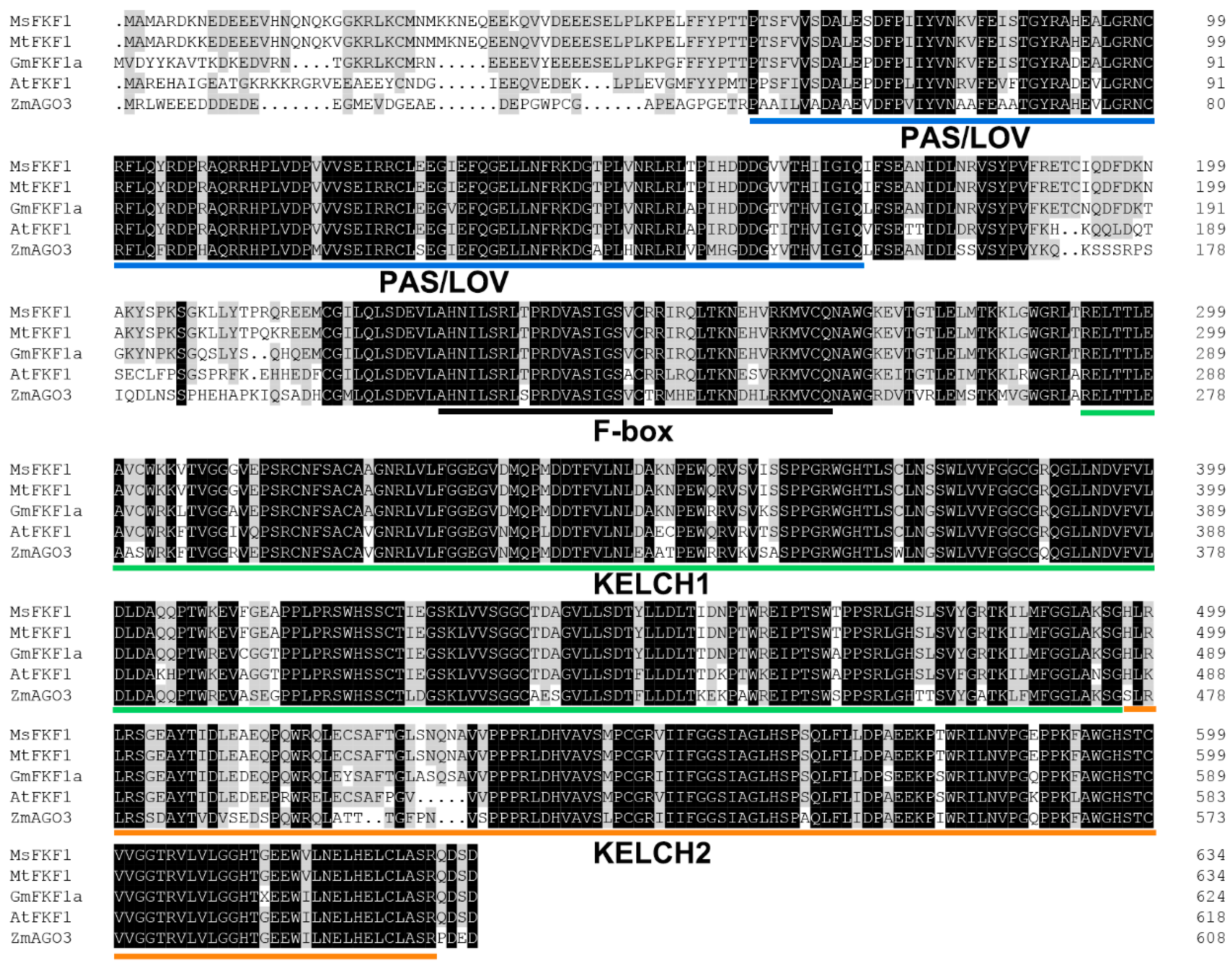 Plants 13 00655 g001
