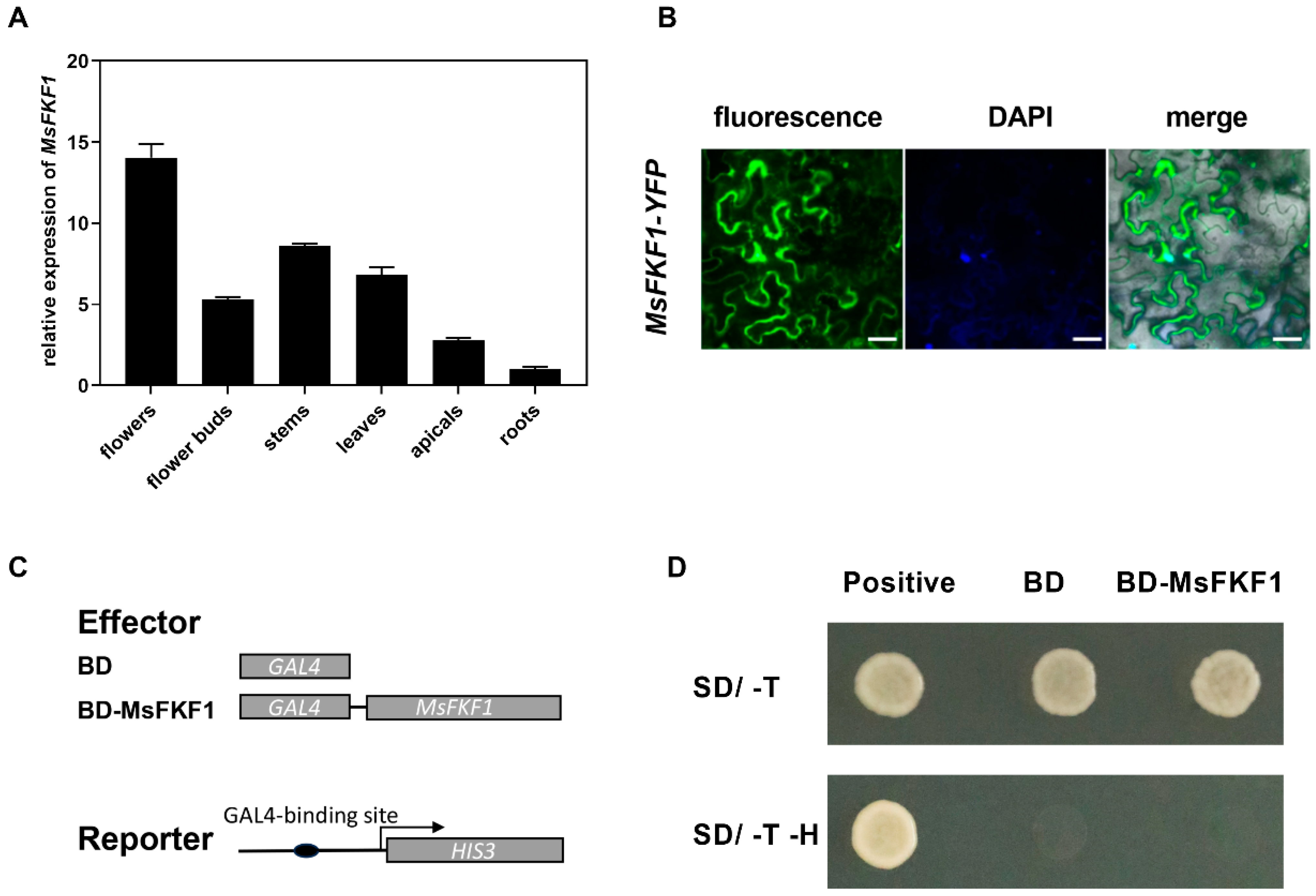 Plants 13 00655 g002