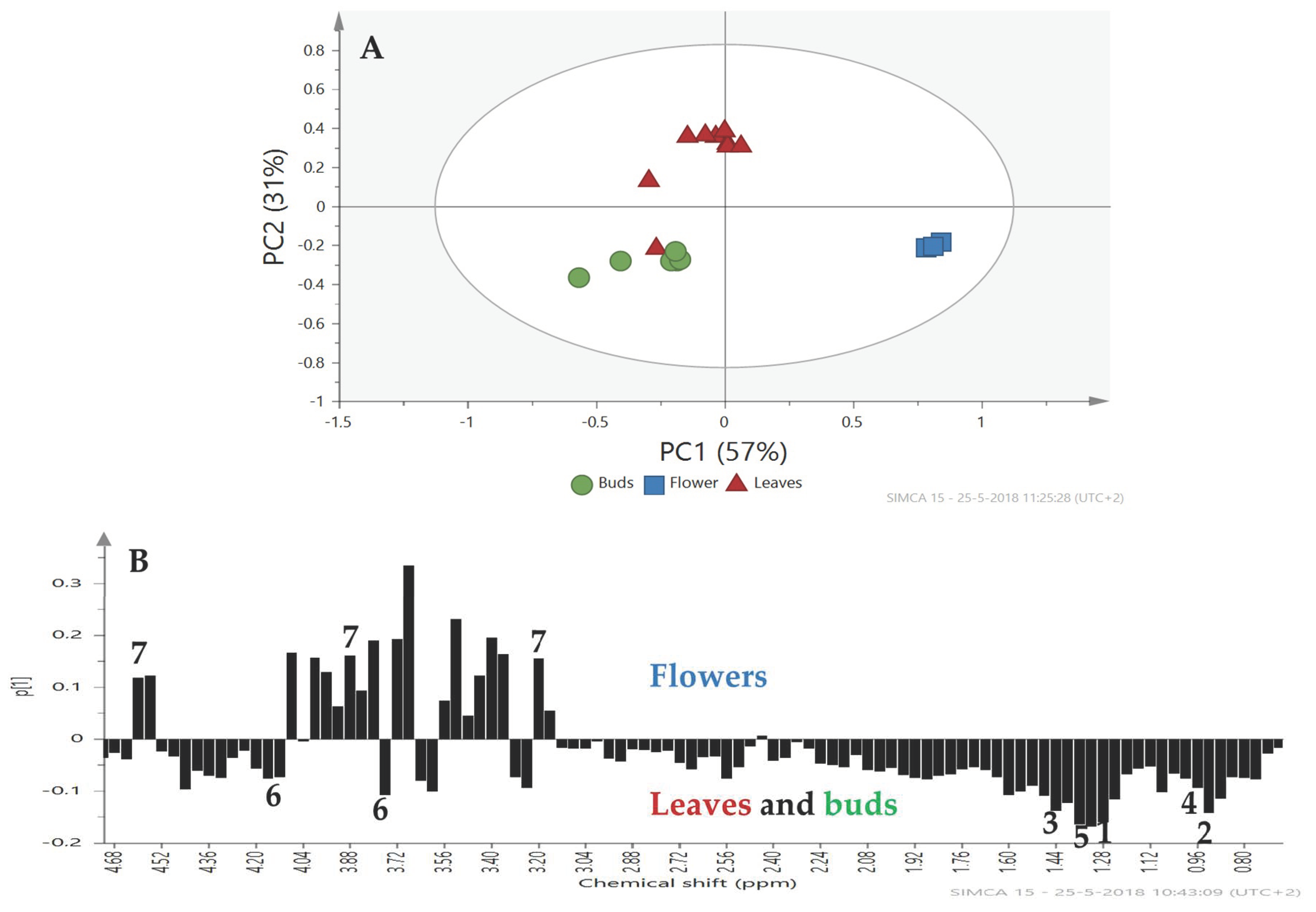 Plants 13 00687 g006