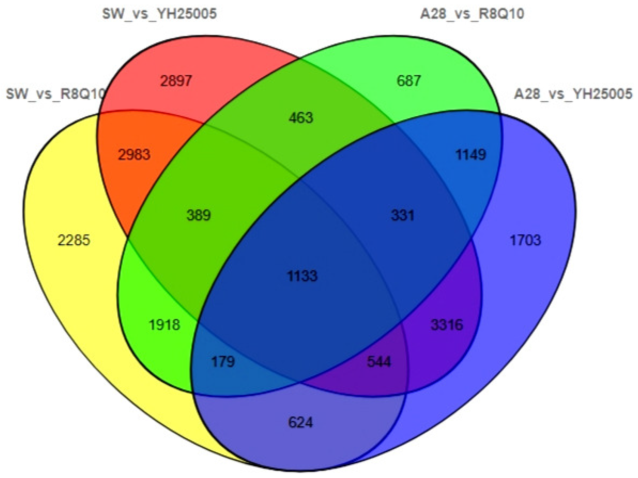Plants 13 00760 g001