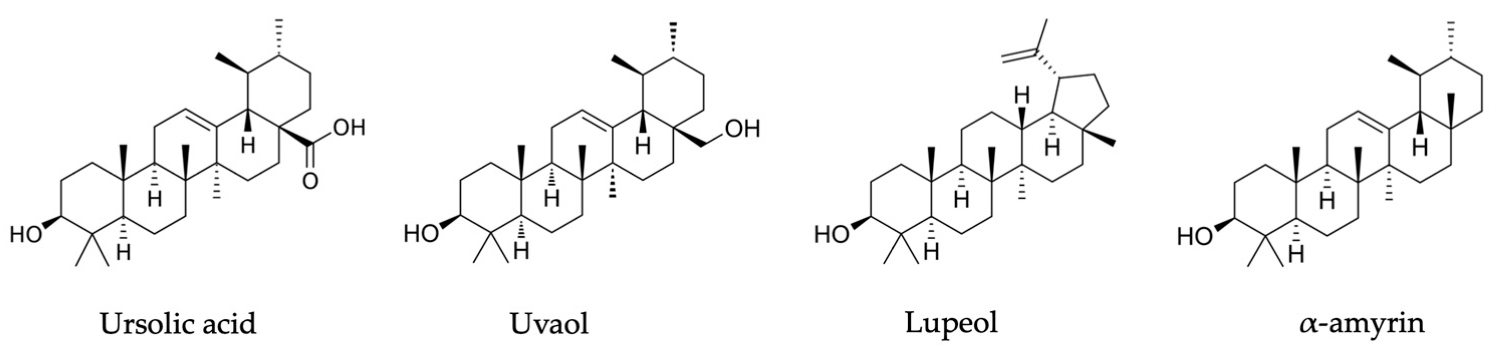 Plants 13 00901 g003