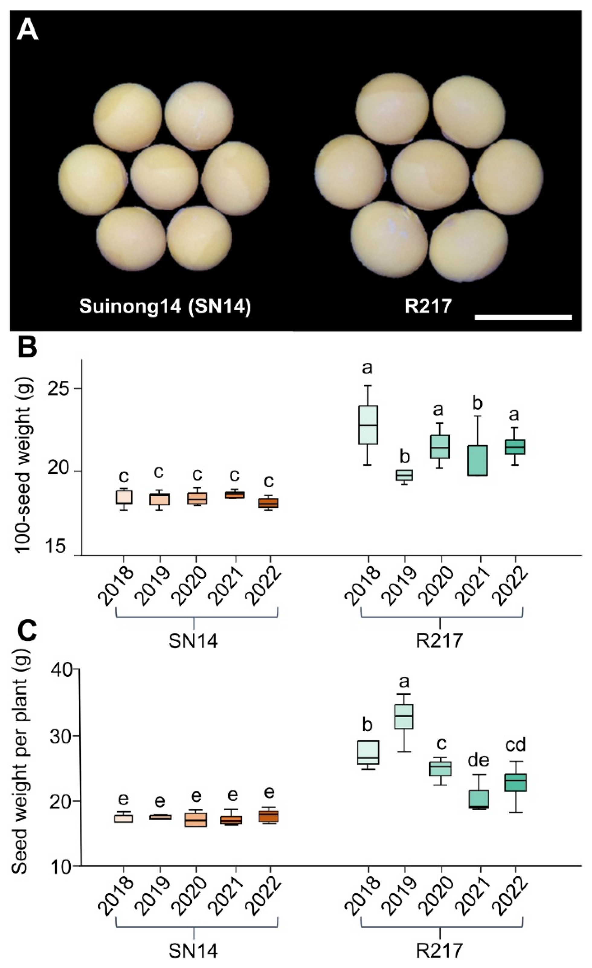 Plants 13 00908 g001