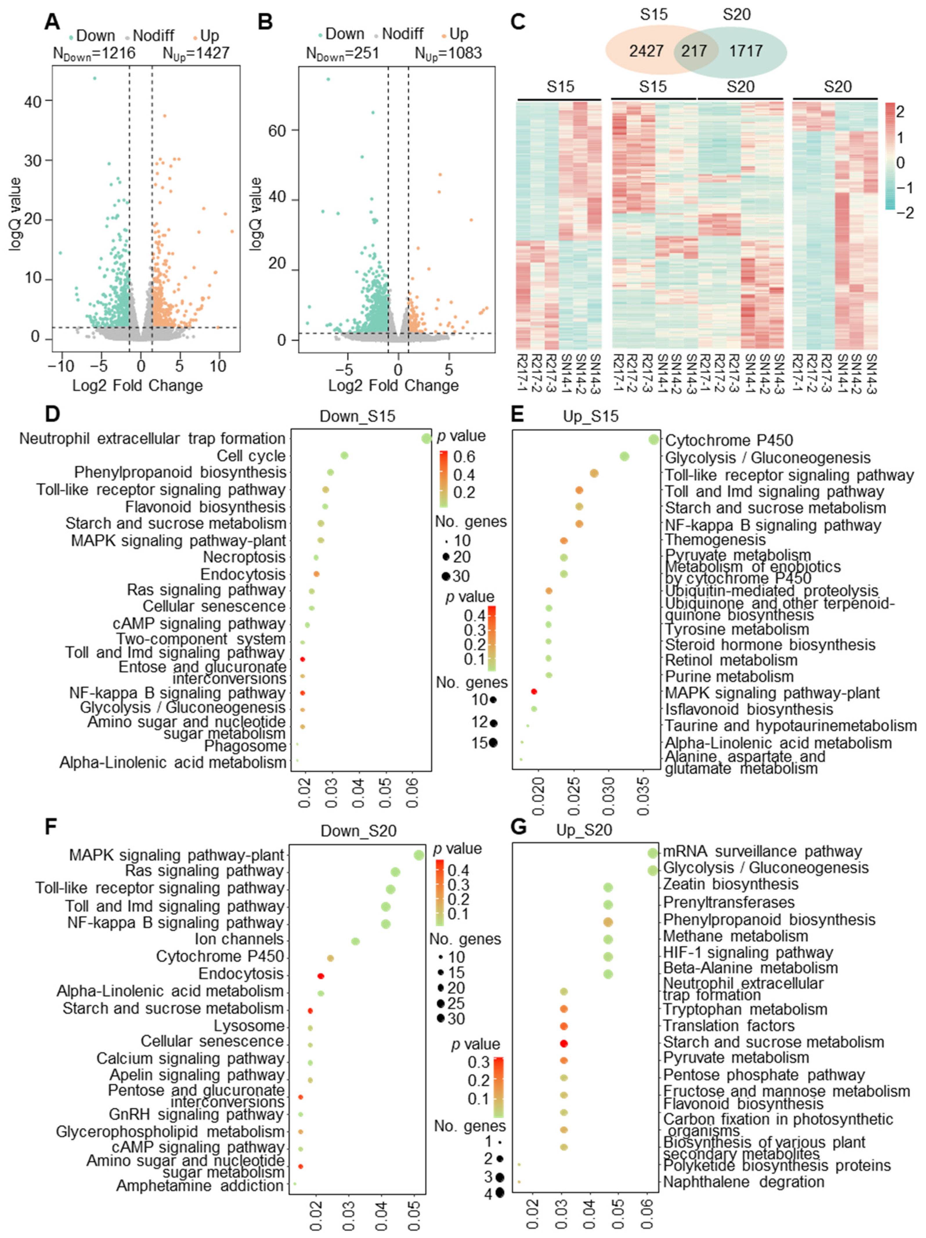 Plants 13 00908 g002