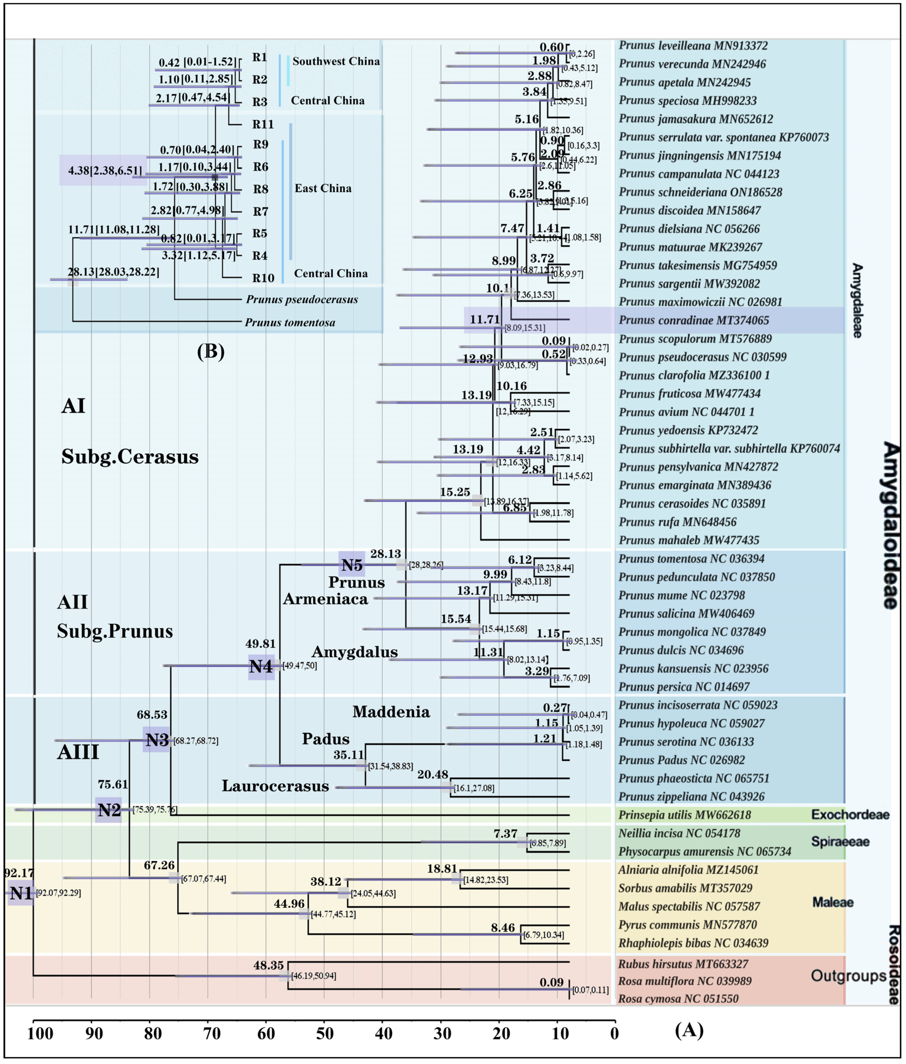Plants 13 00974 g004