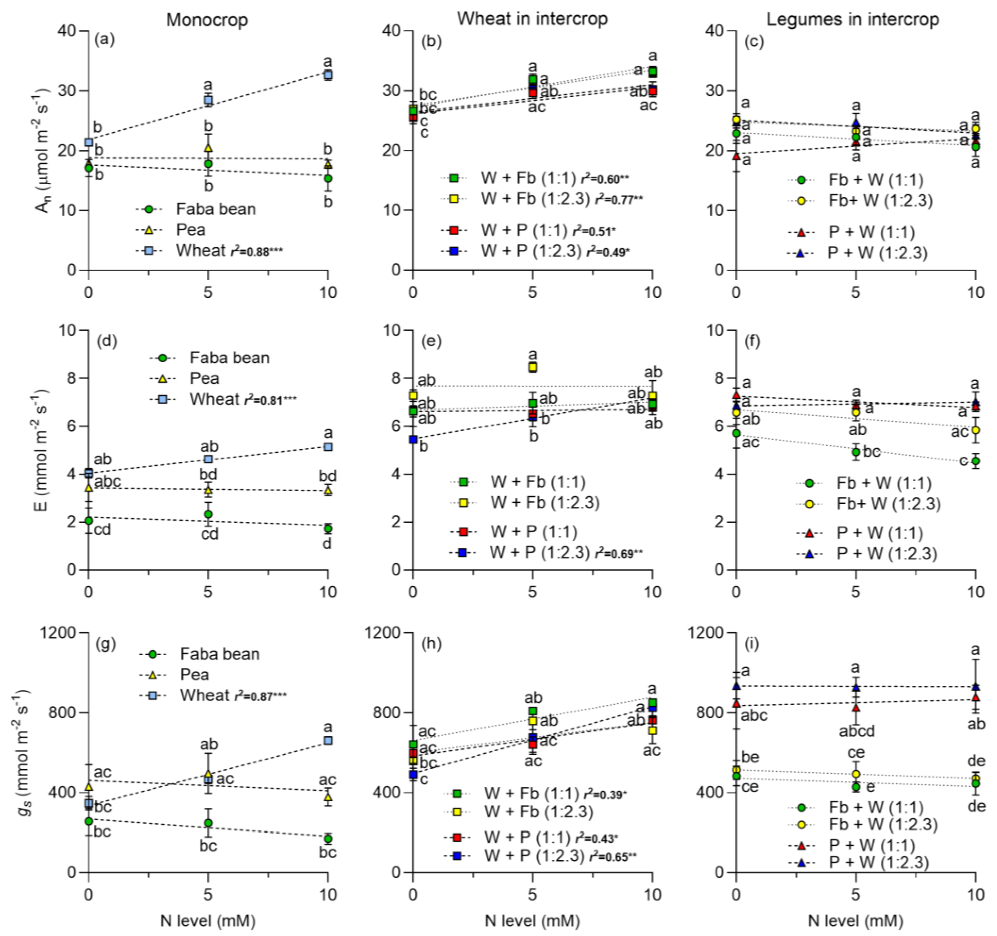 Plants 13 00991 g001