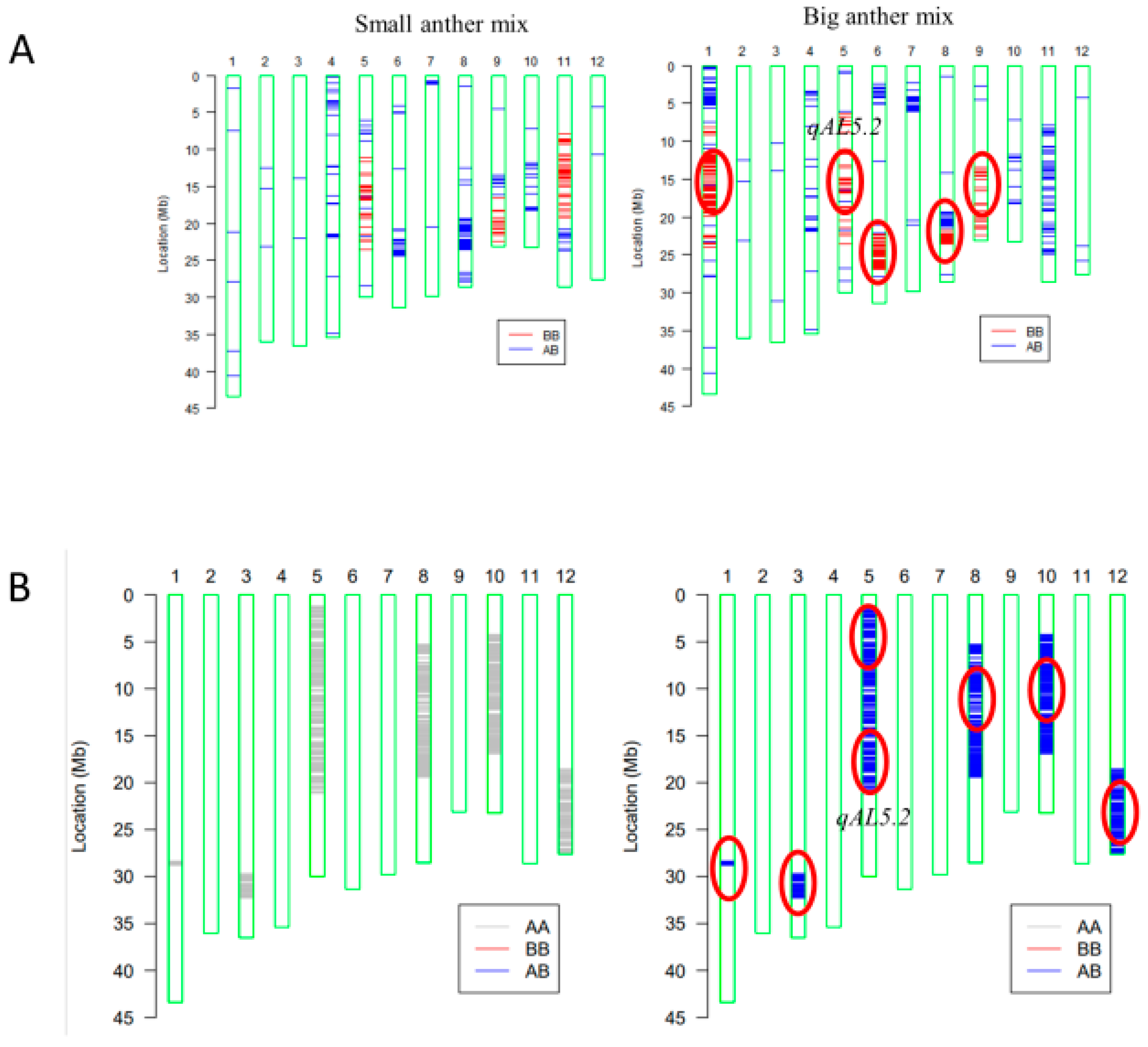 Plants 13 01130 g003