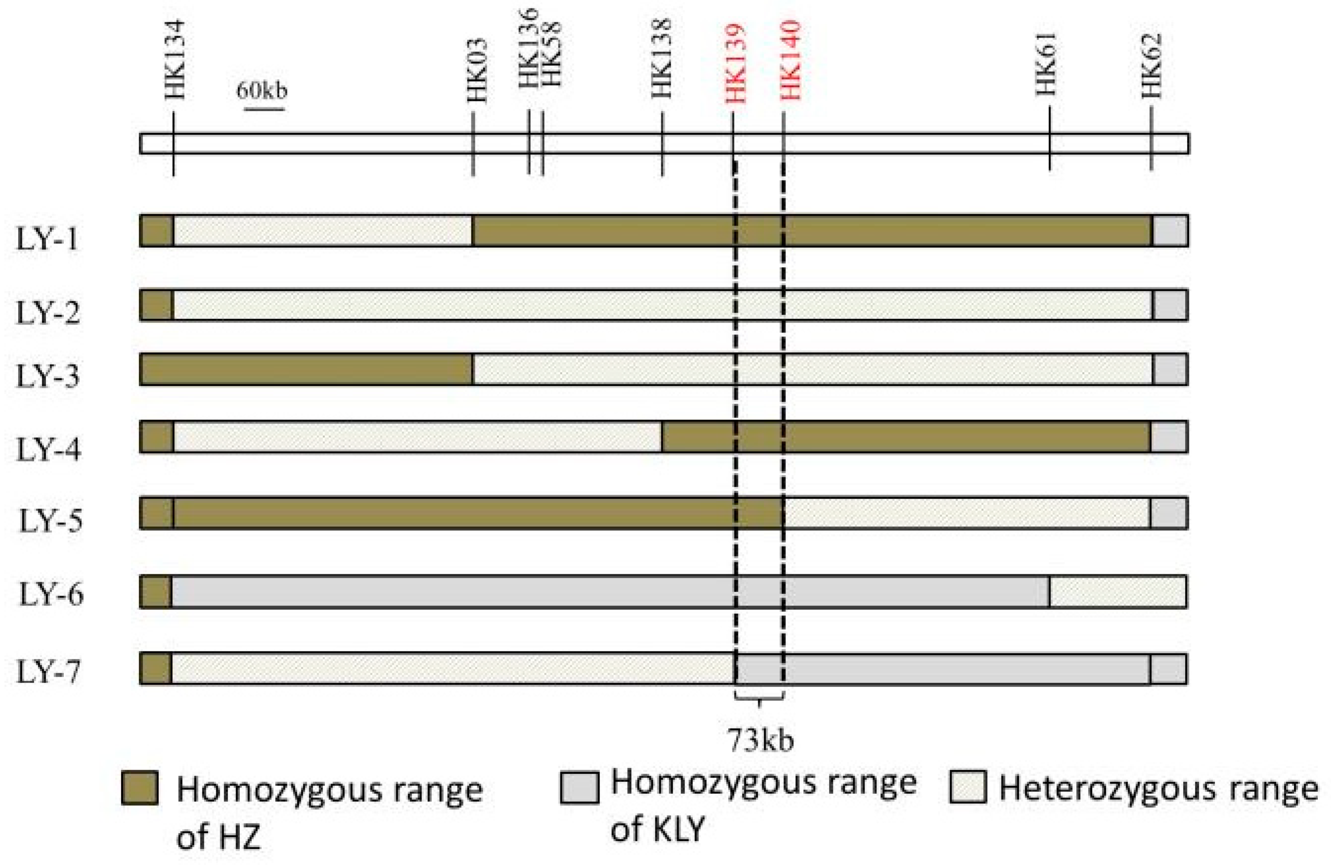 Plants 13 01130 g004