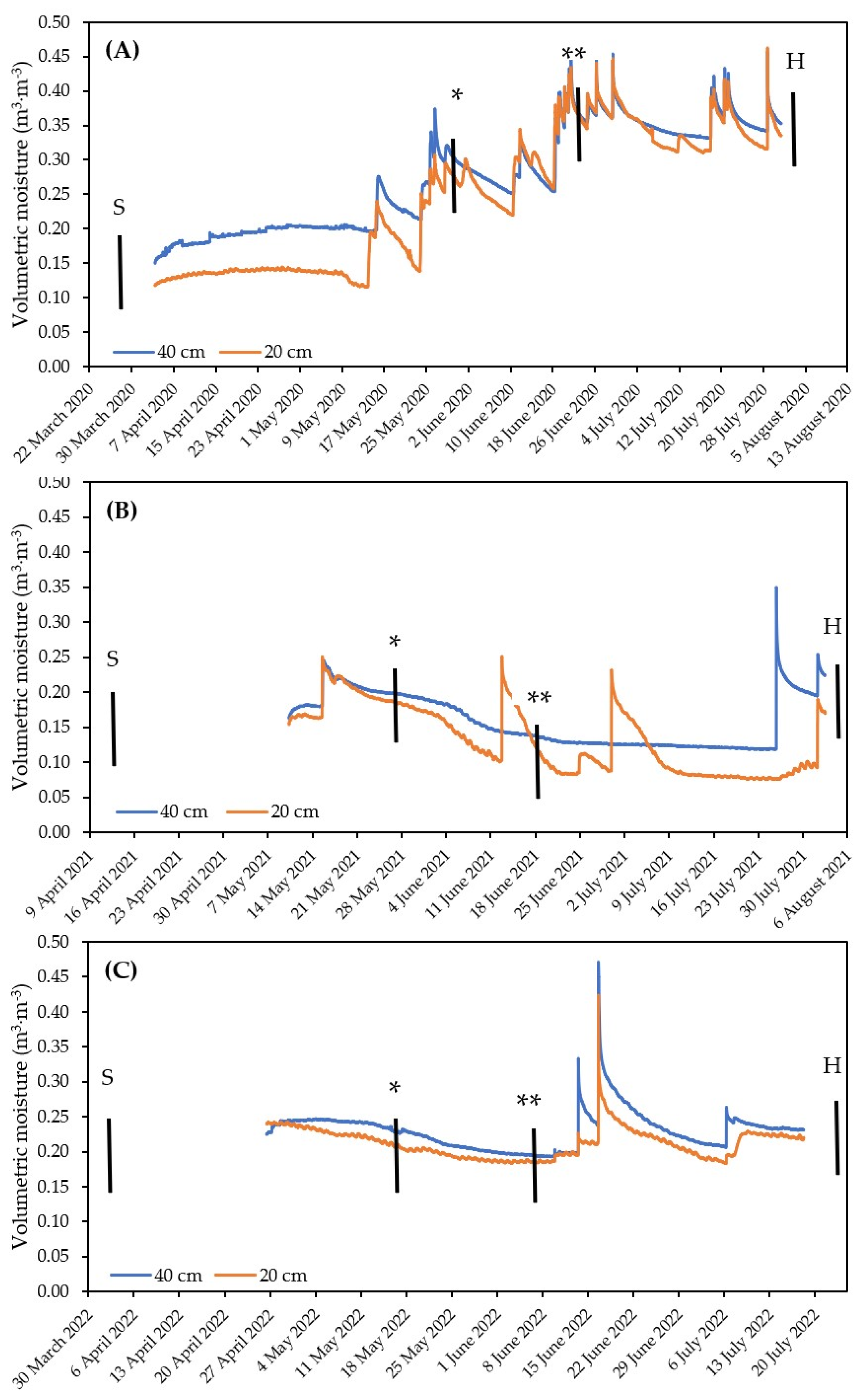 Plants 13 01168 g001