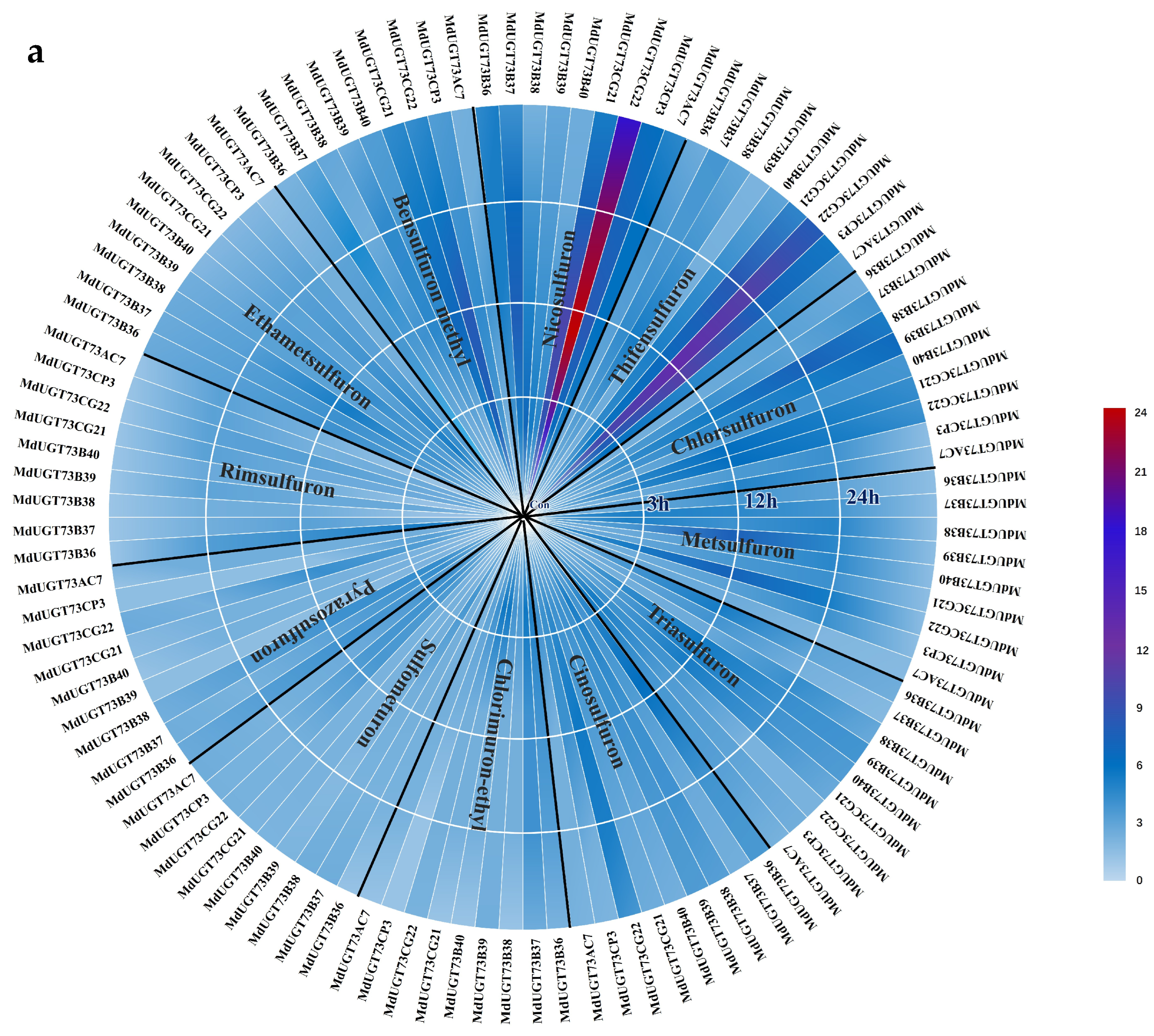 Plants 13 01171 g001a