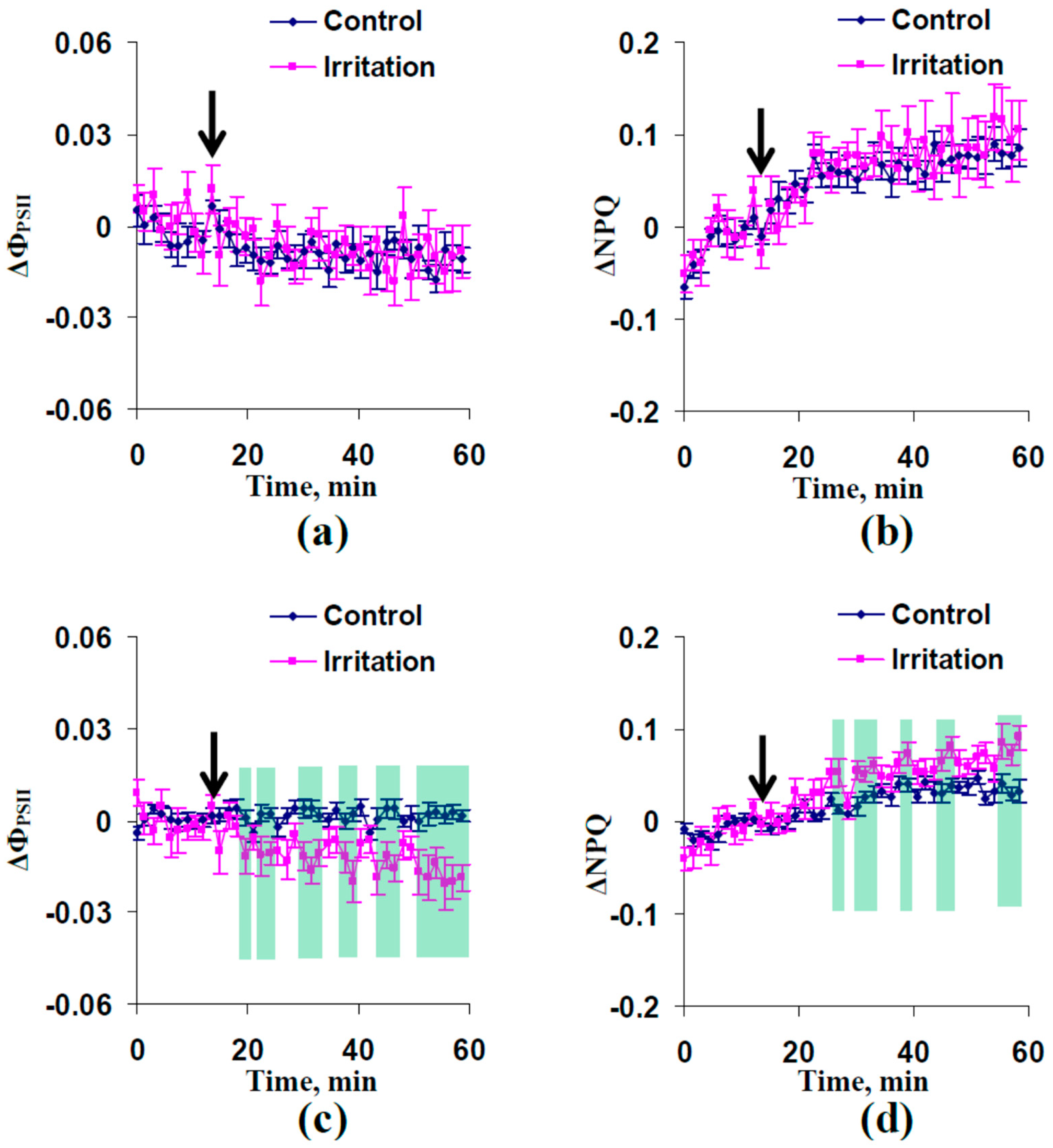 Plants 13 01173 g002