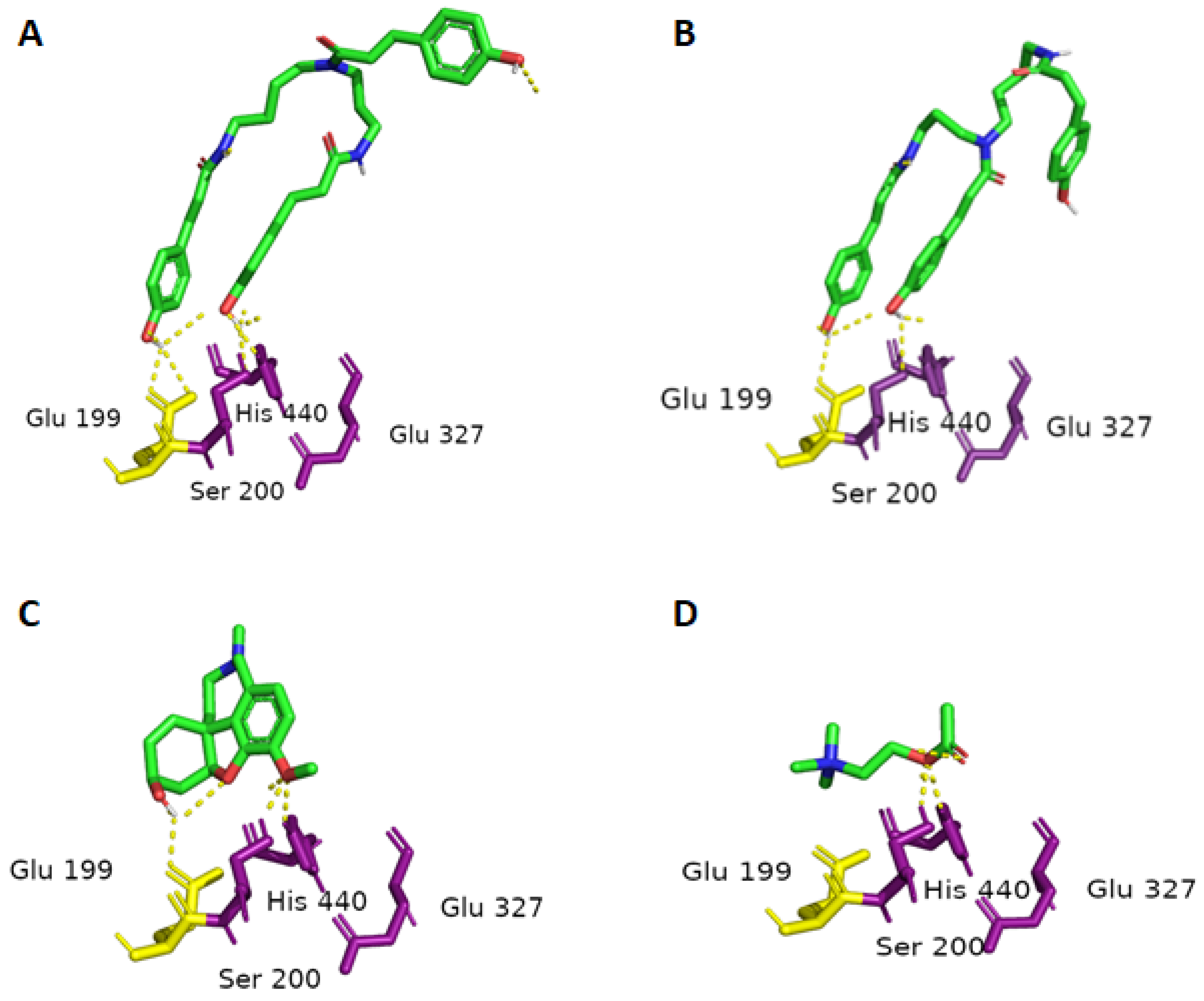 Plants 13 01181 g001