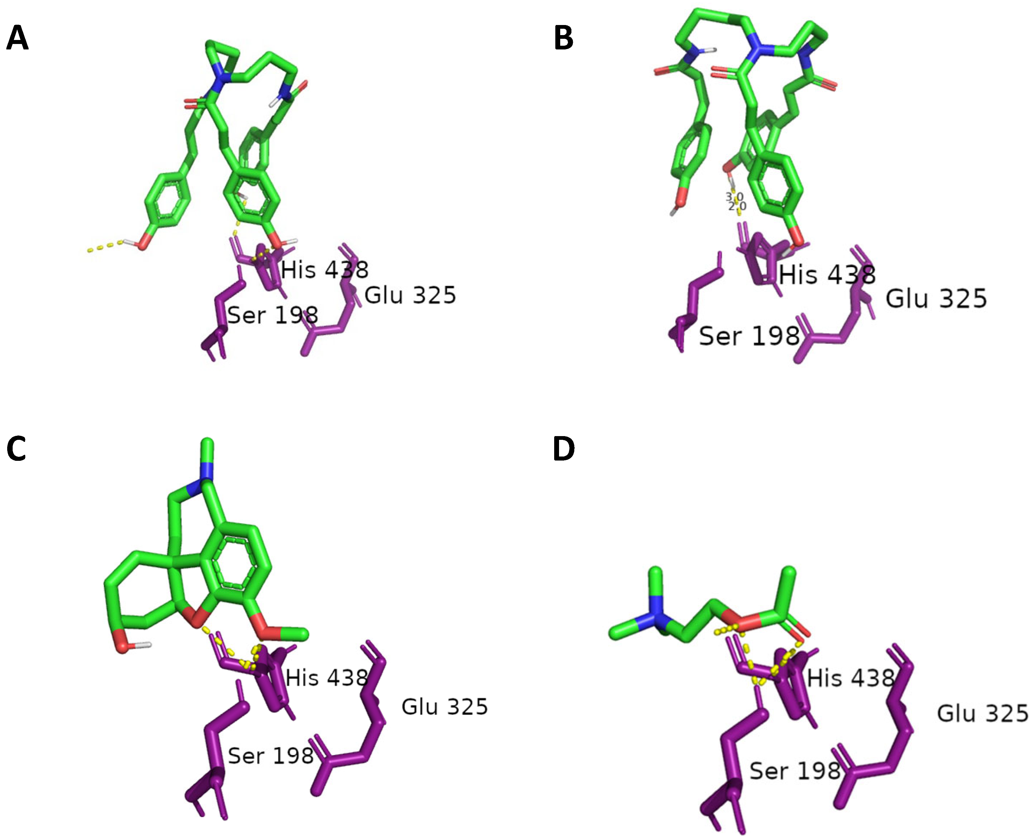 Plants 13 01181 g002