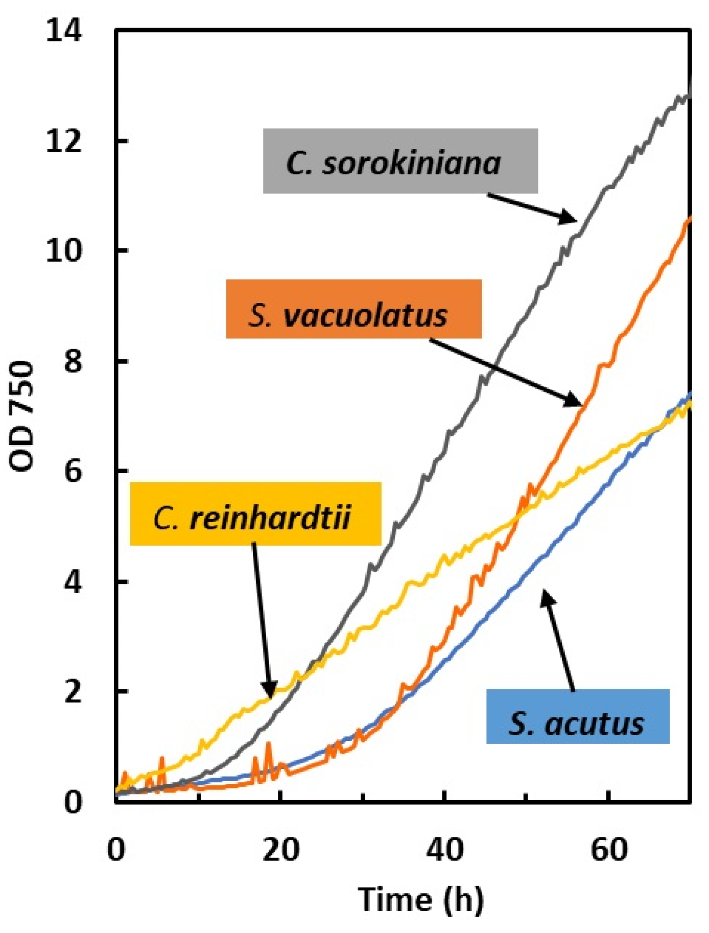 Plants 13 01182 g001