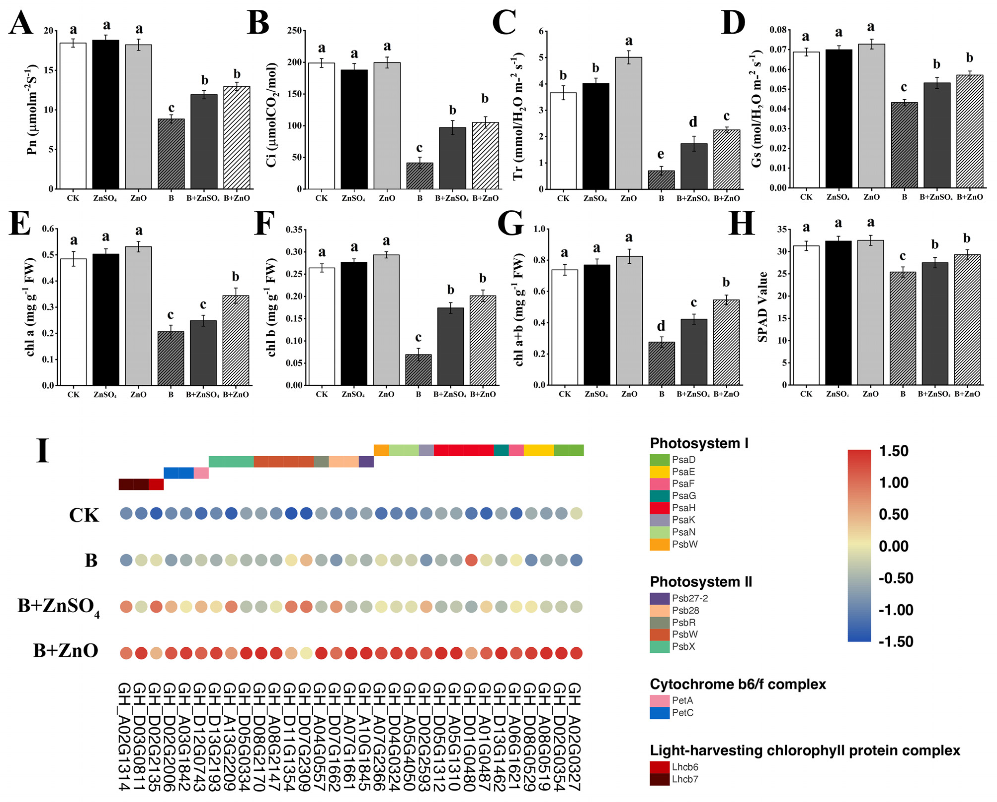 Plants 13 01184 g002