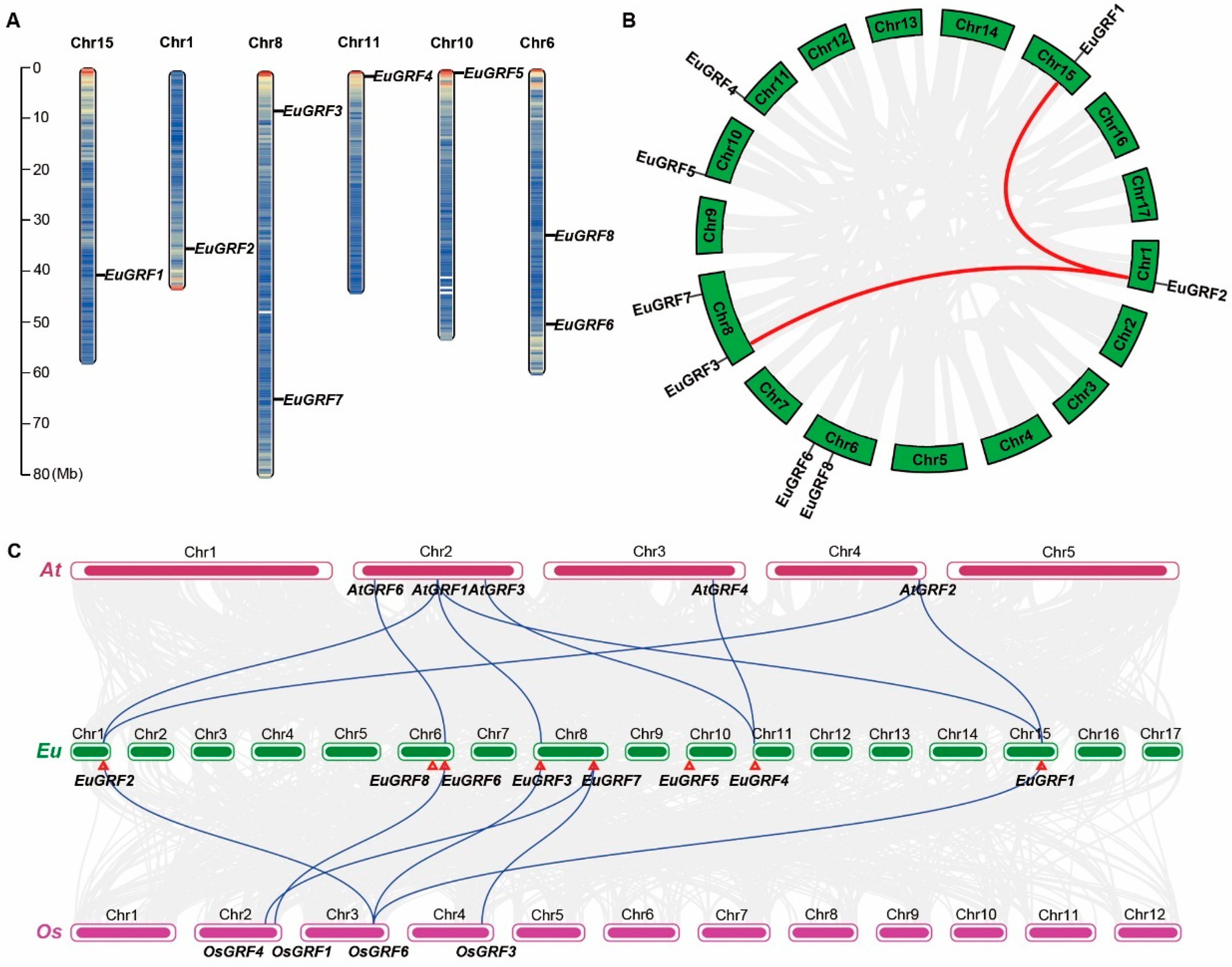 Plants 13 01185 g003