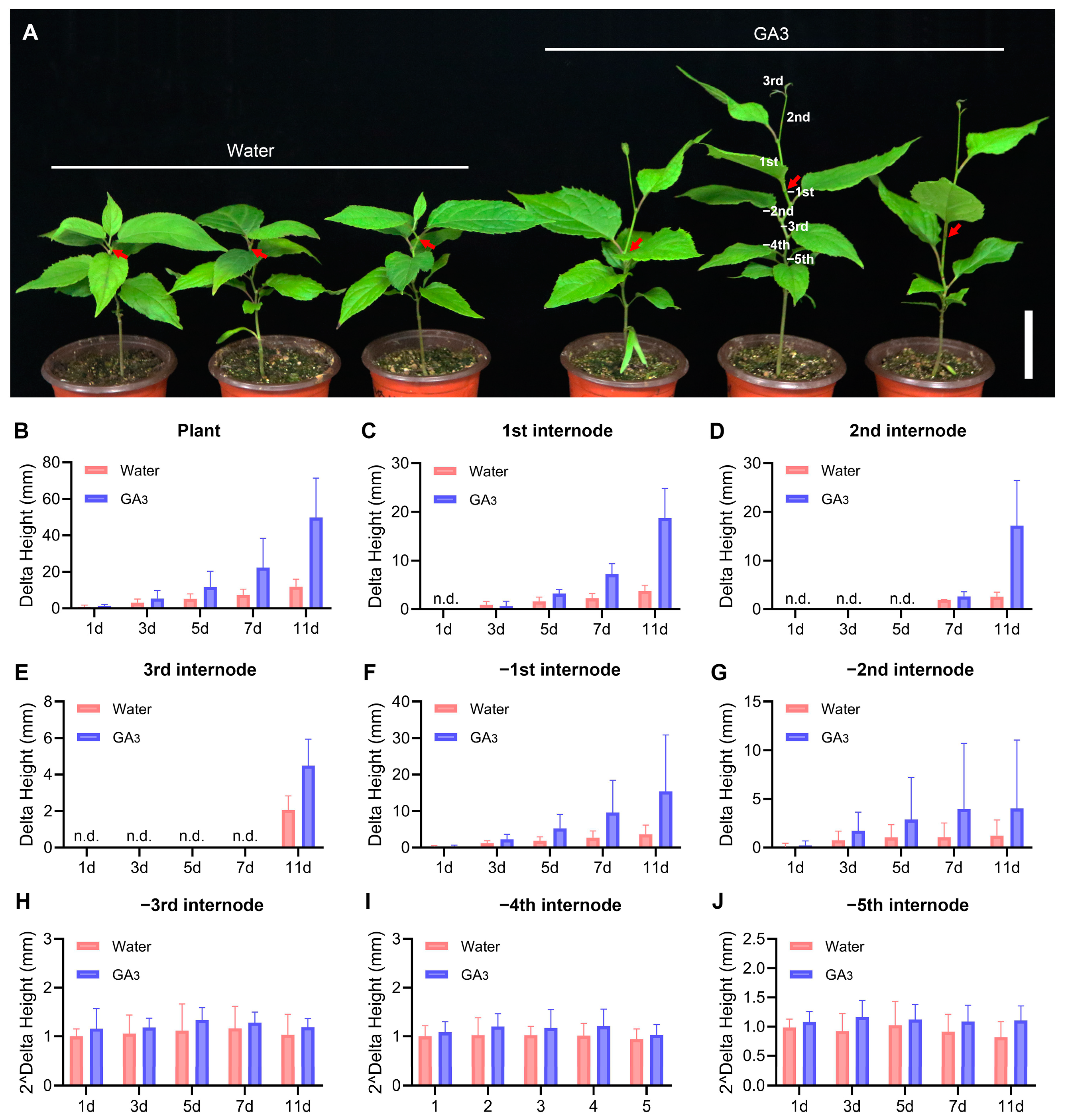 Plants 13 01185 g007
