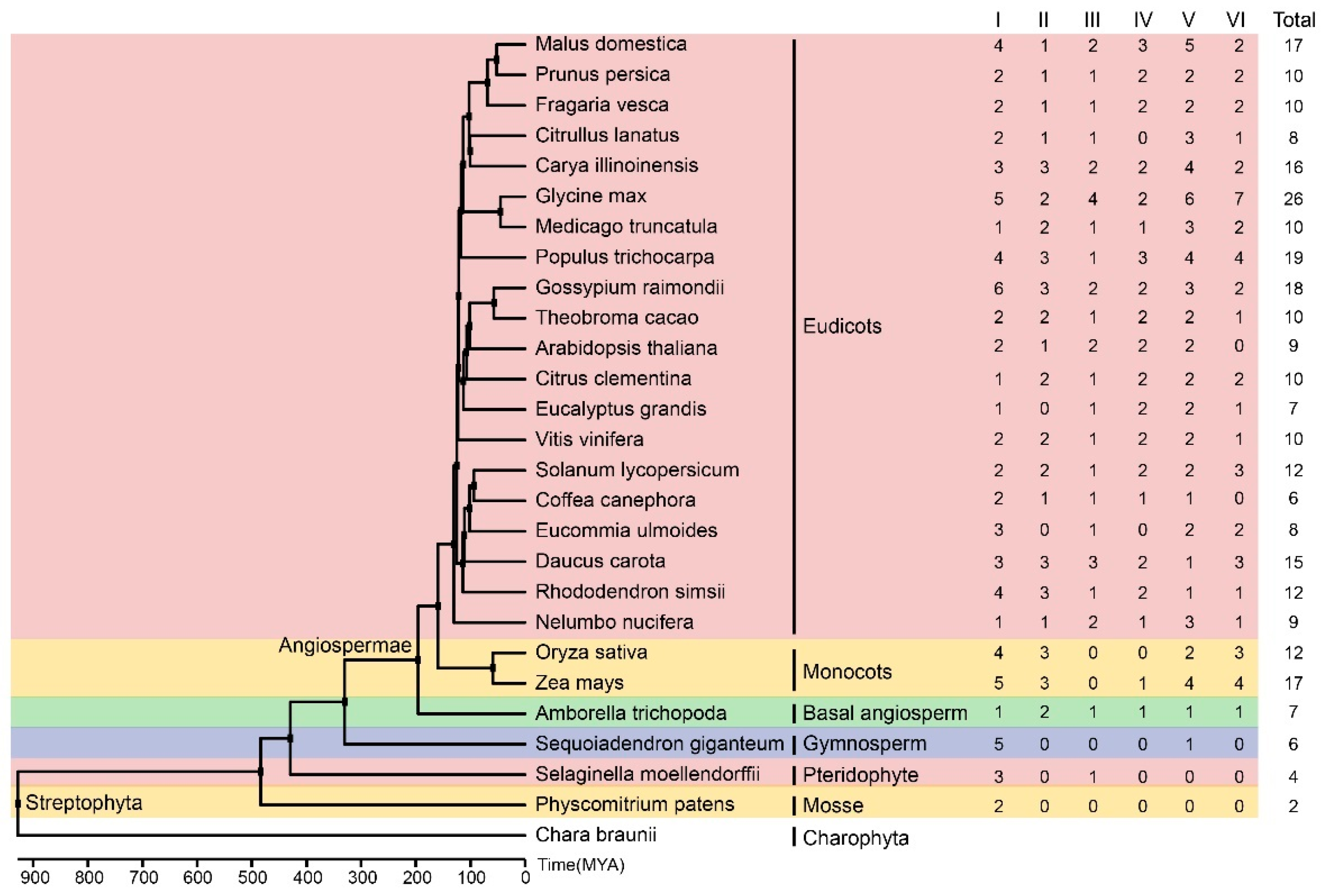 Plants 13 01185 g008