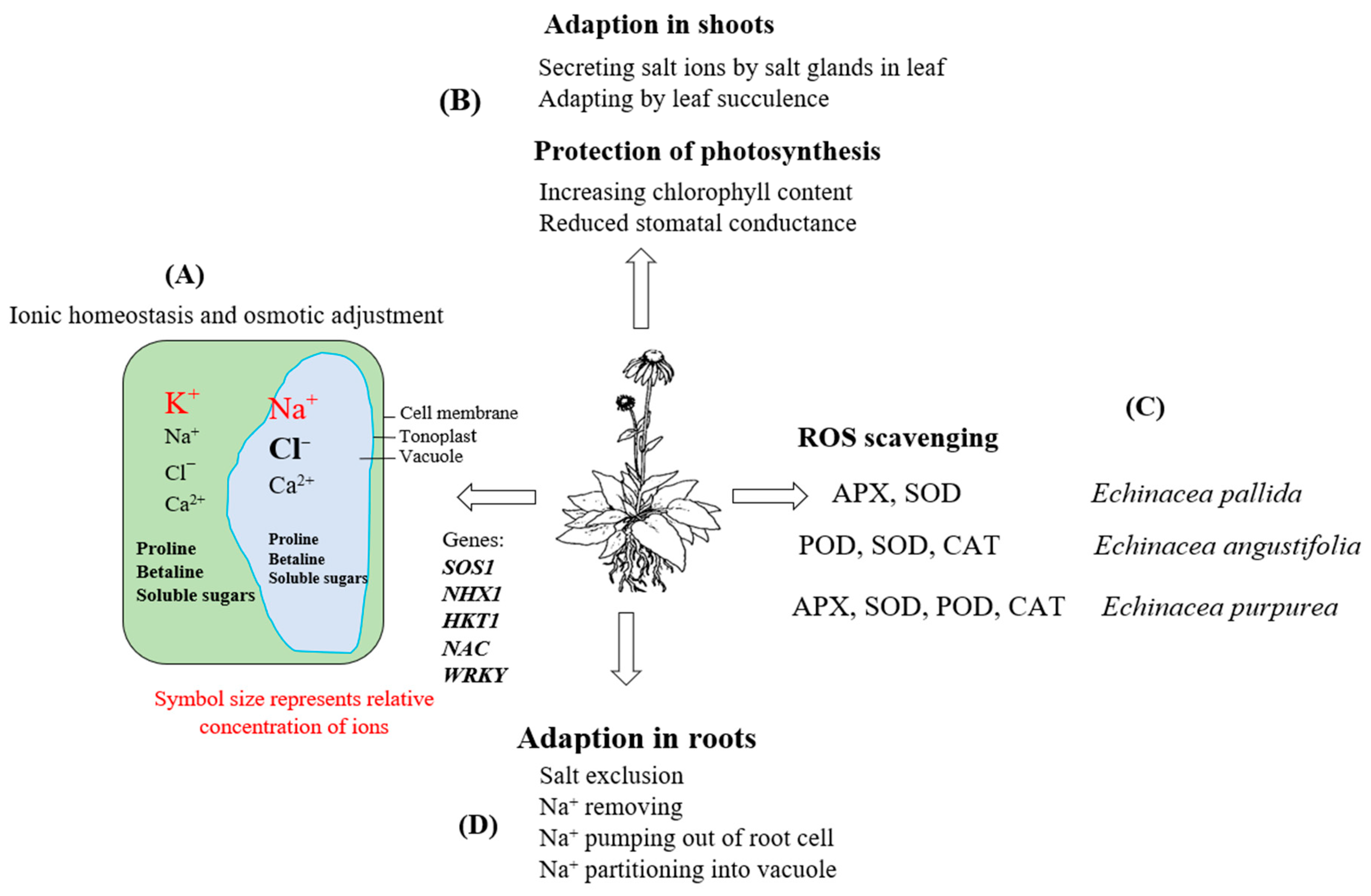 Plants 13 01235 g006
