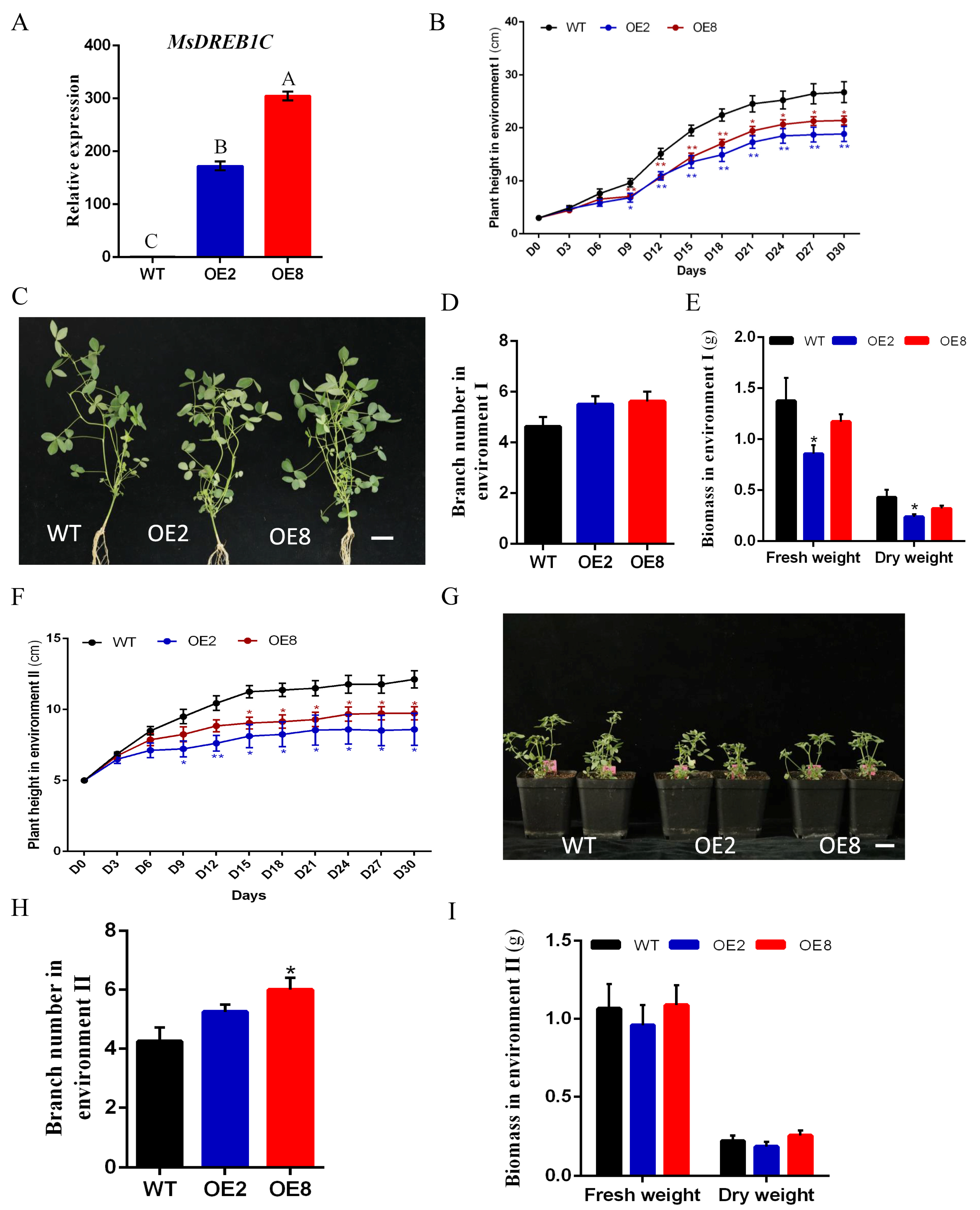 Plants 13 01237 g004