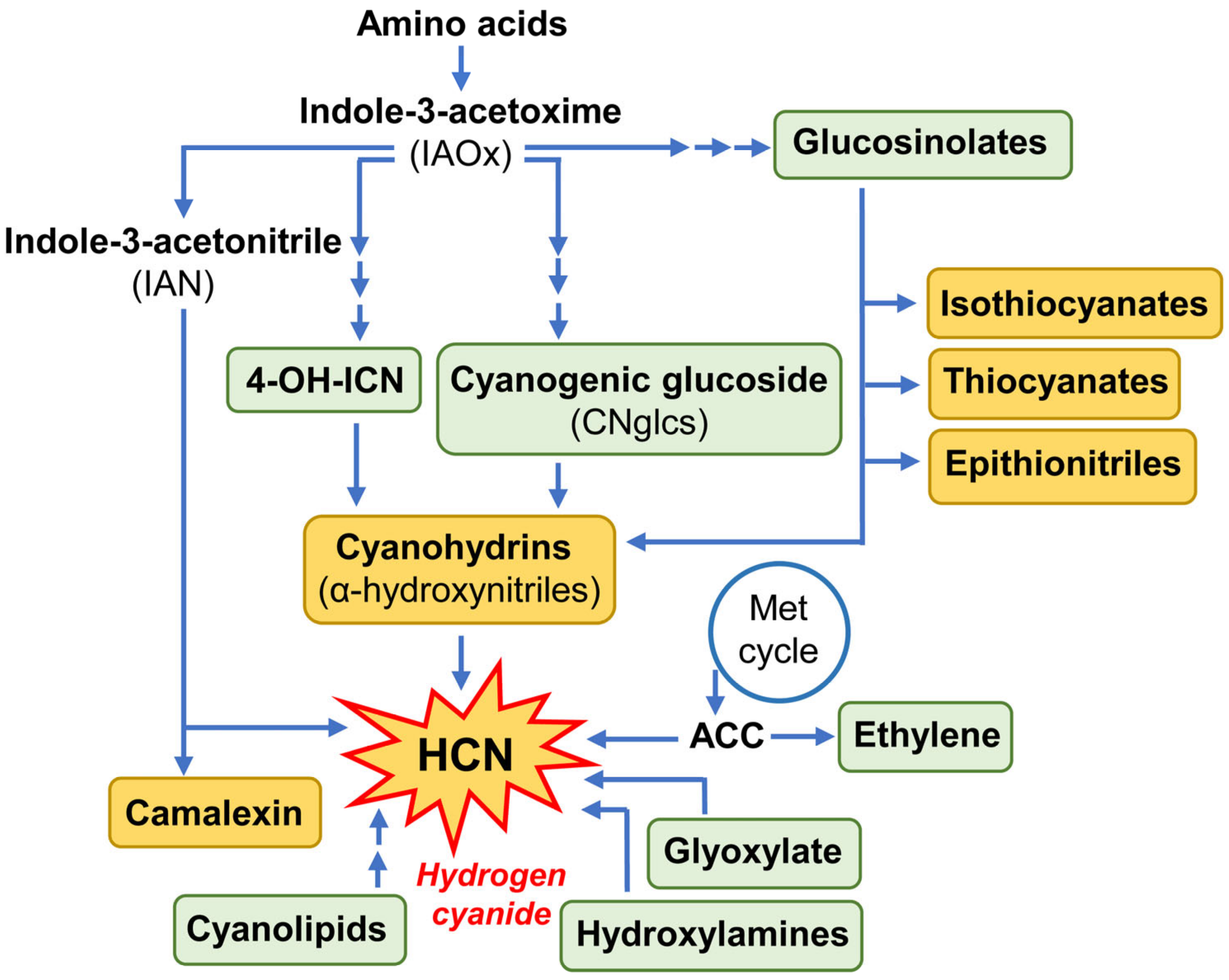 Plants 13 01239 g002