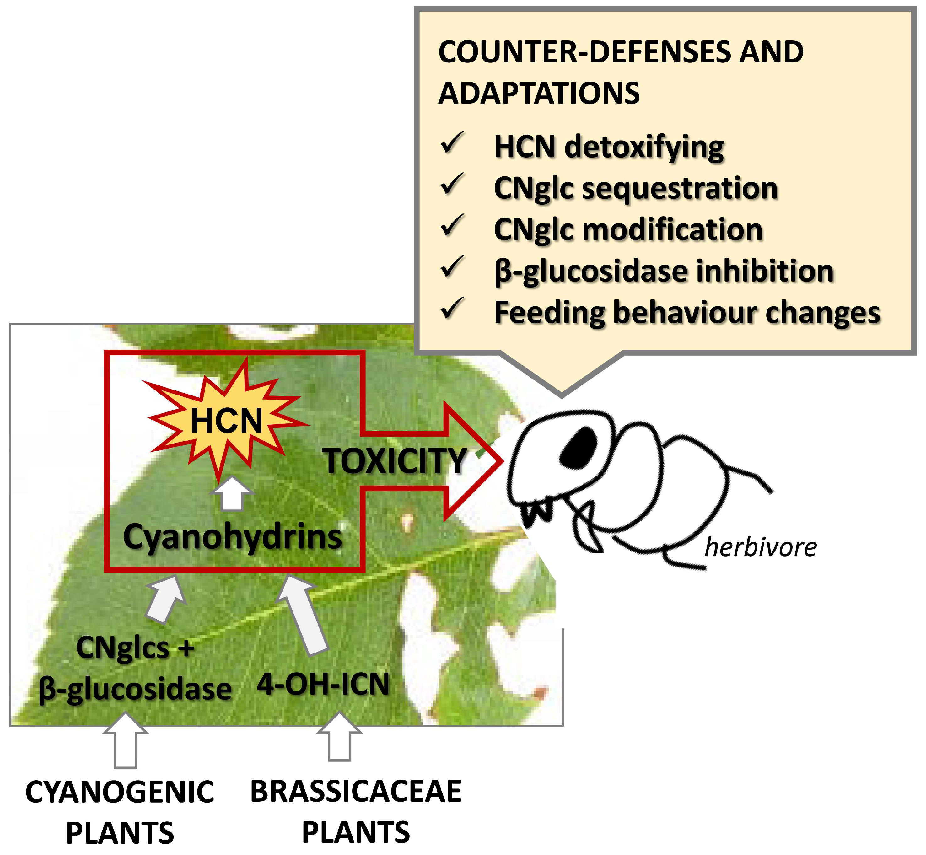 Plants 13 01239 g004