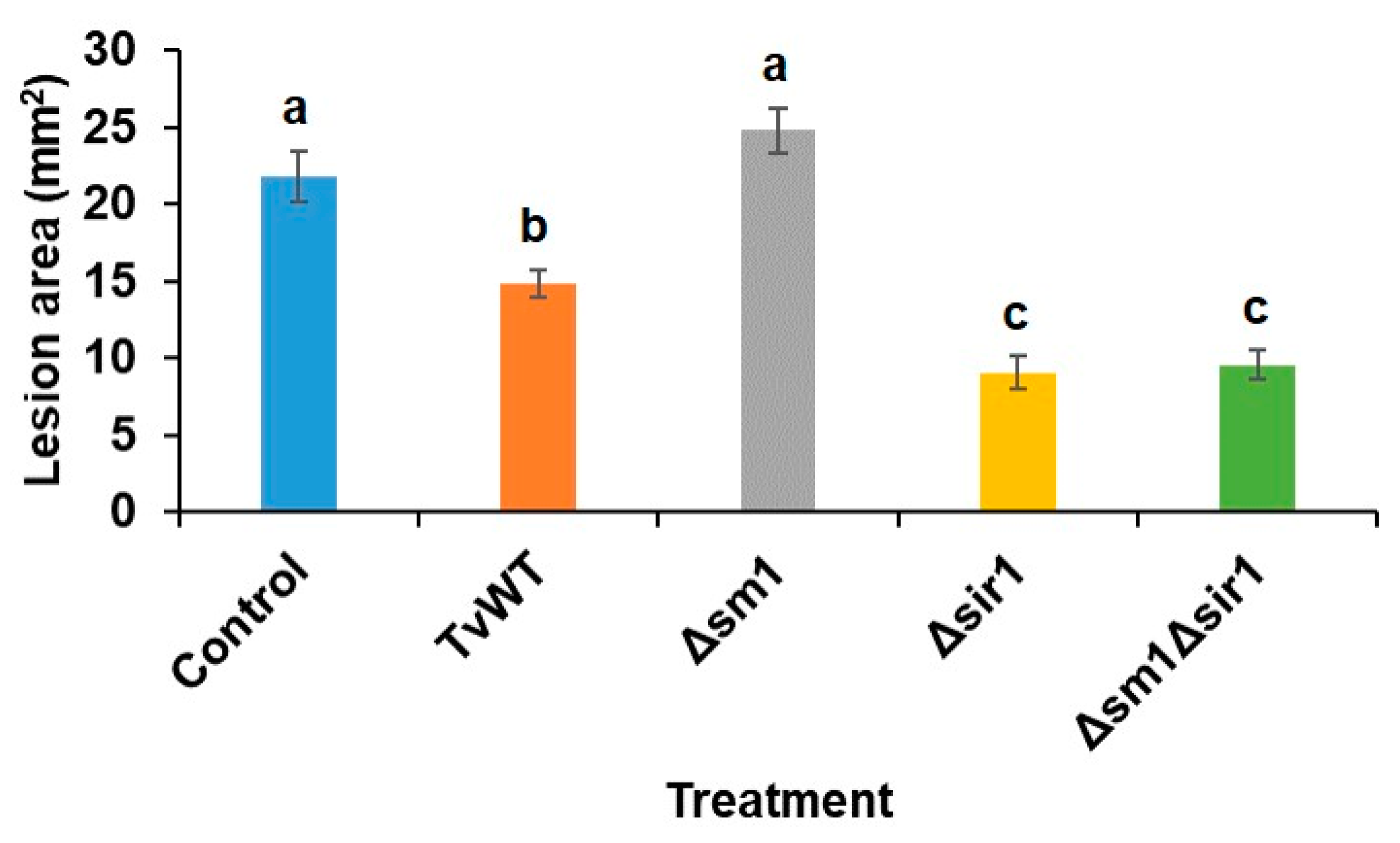 Plants 13 01240 g001