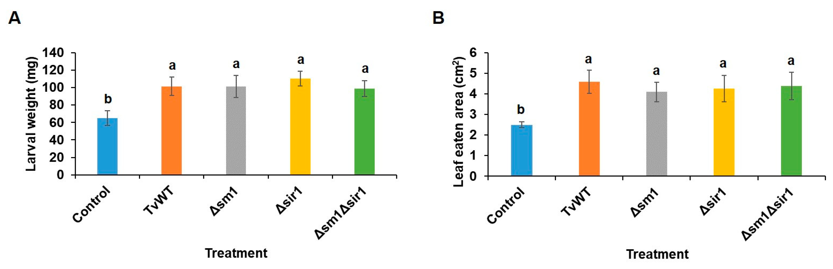 Plants 13 01240 g002