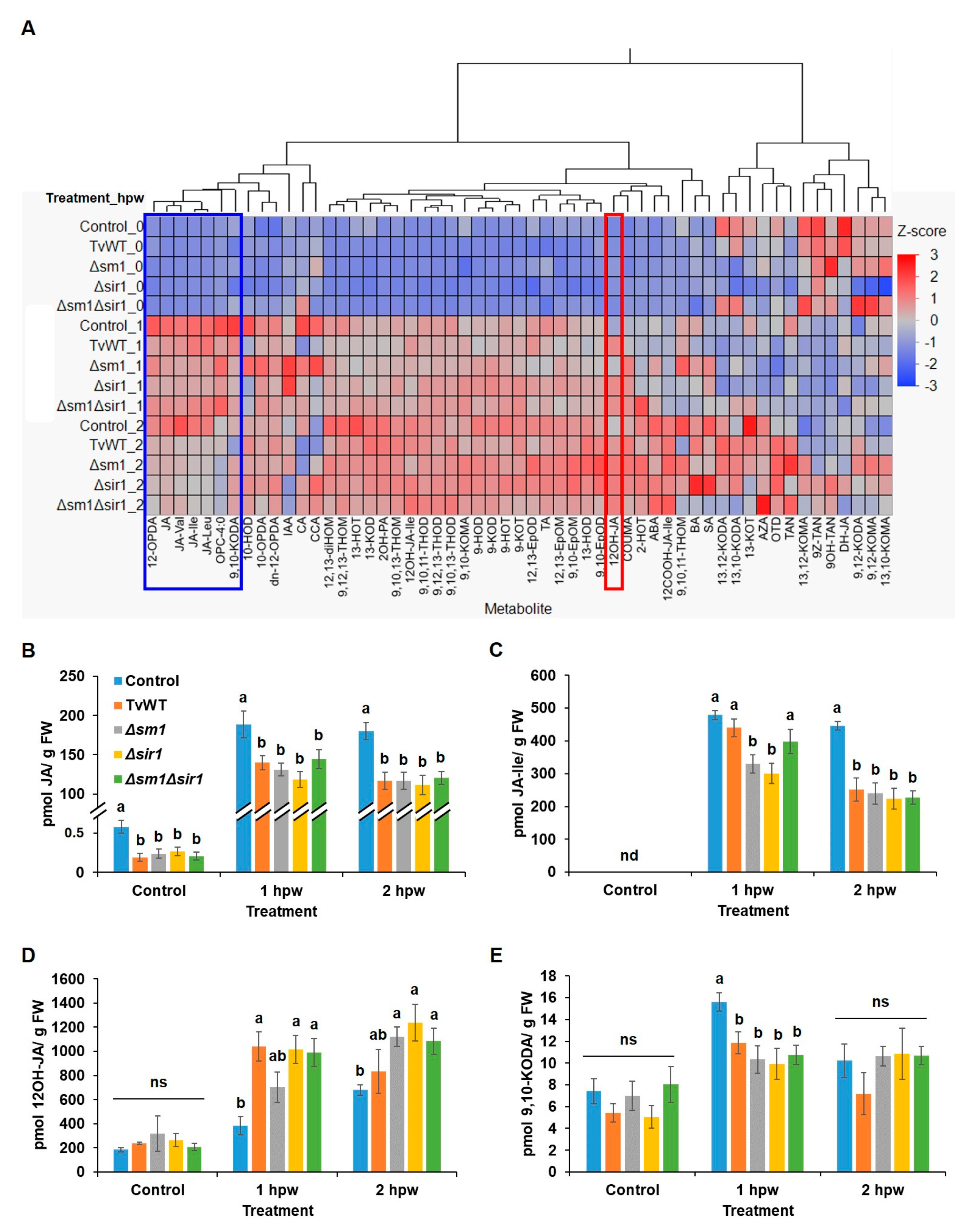 Plants 13 01240 g003