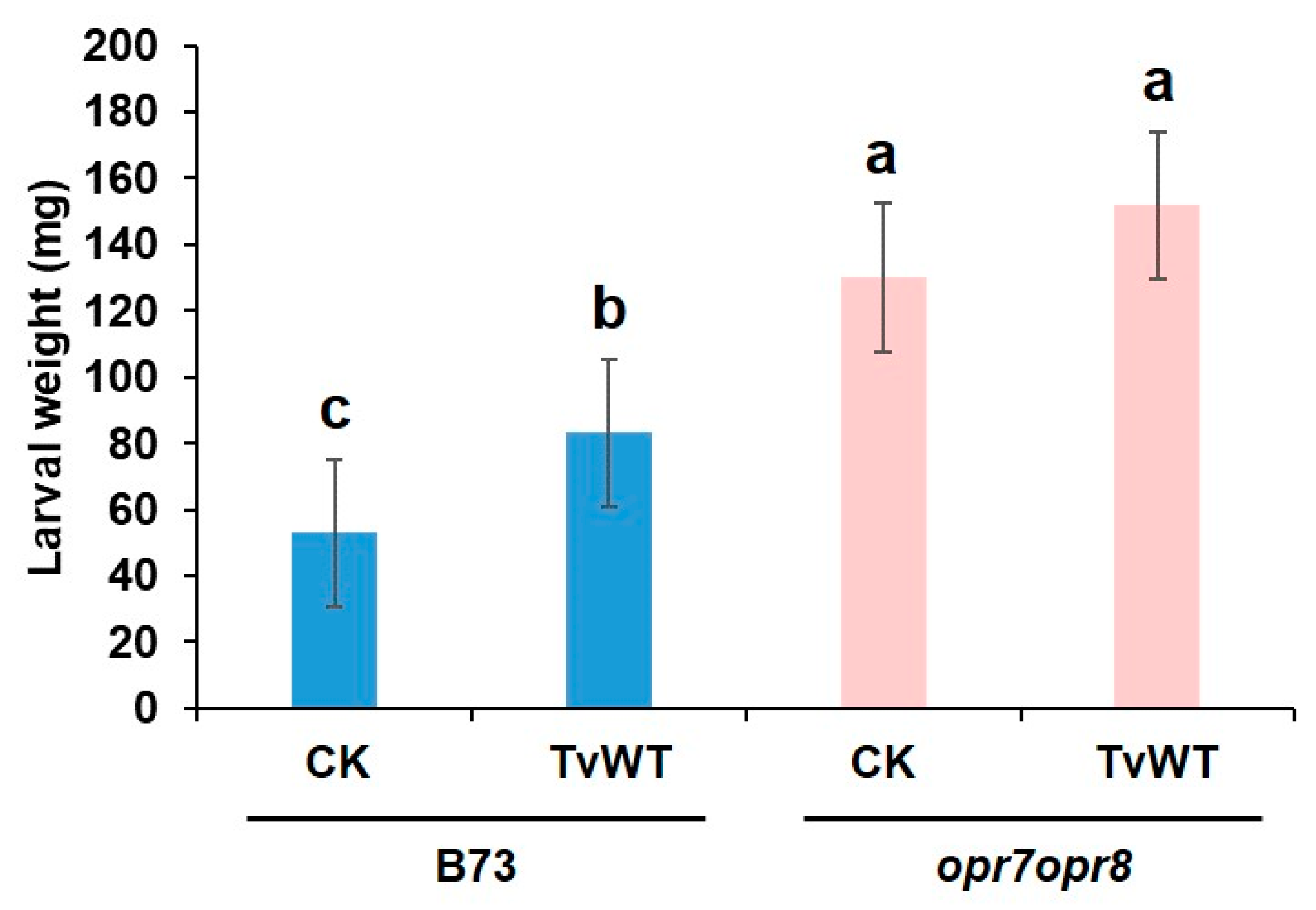 Plants 13 01240 g004