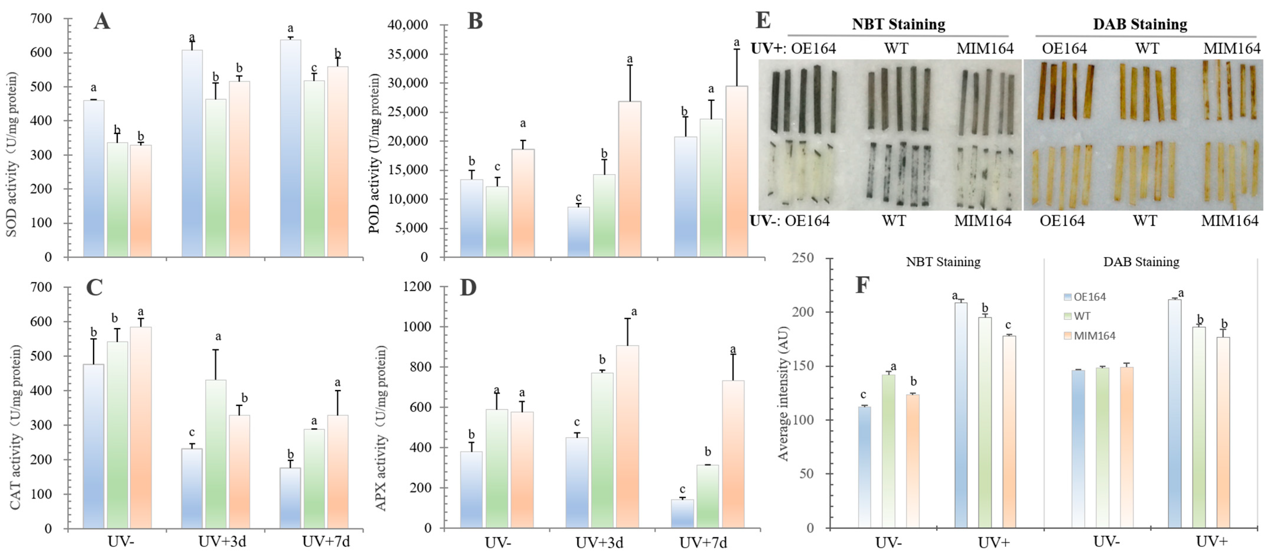 Plants 13 01242 g005