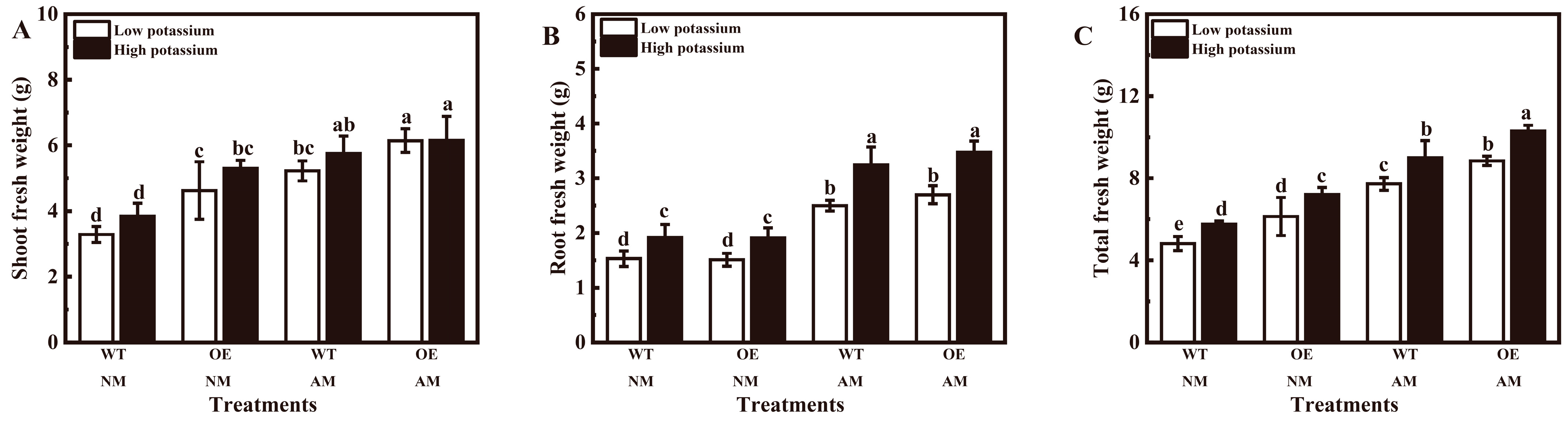 Plants 13 01244 g004