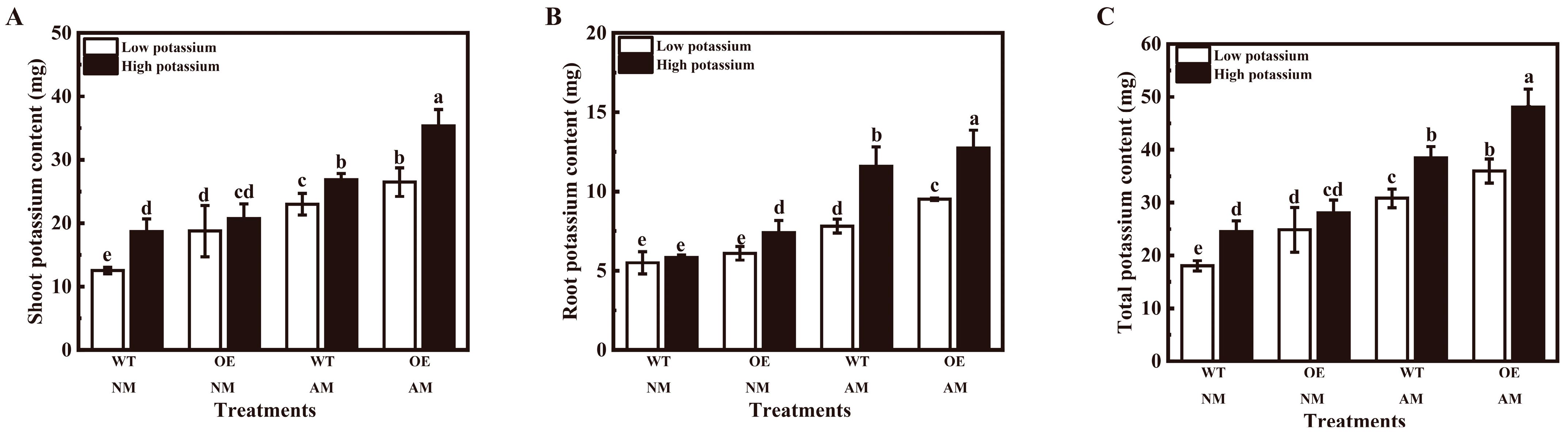 Plants 13 01244 g006