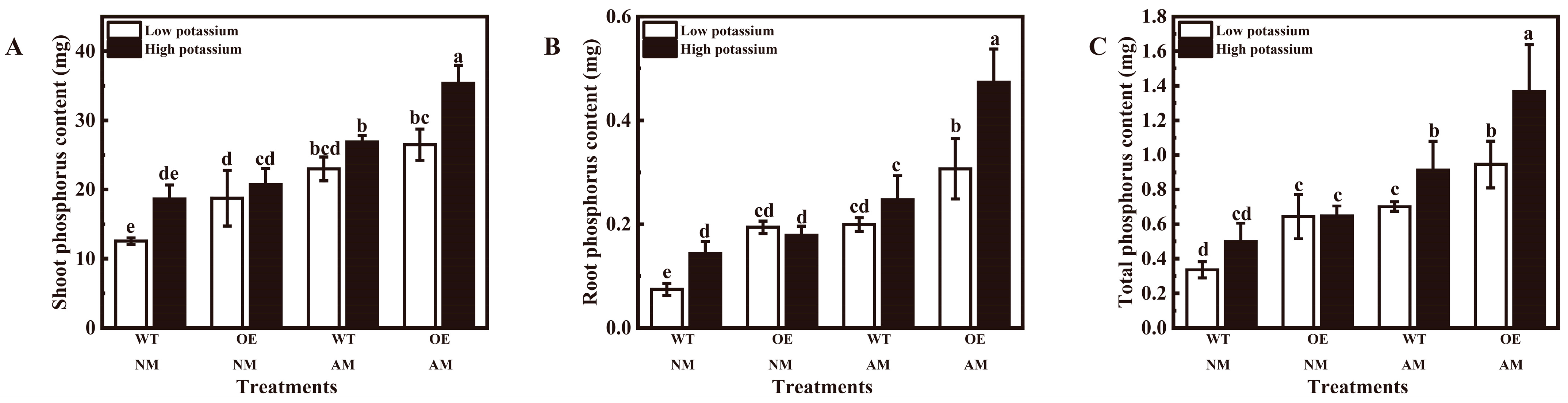 Plants 13 01244 g007