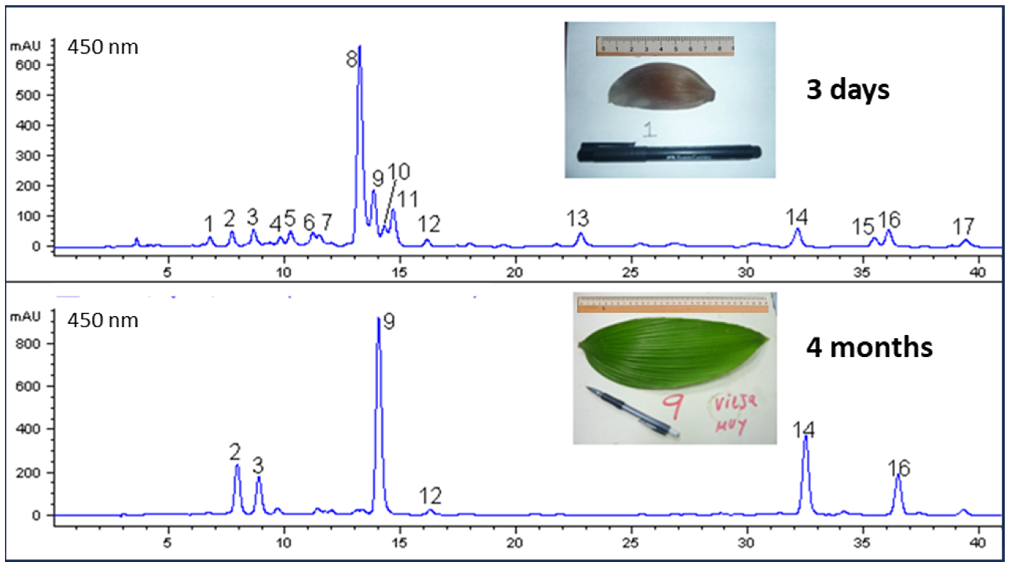 Plants 13 01251 g003