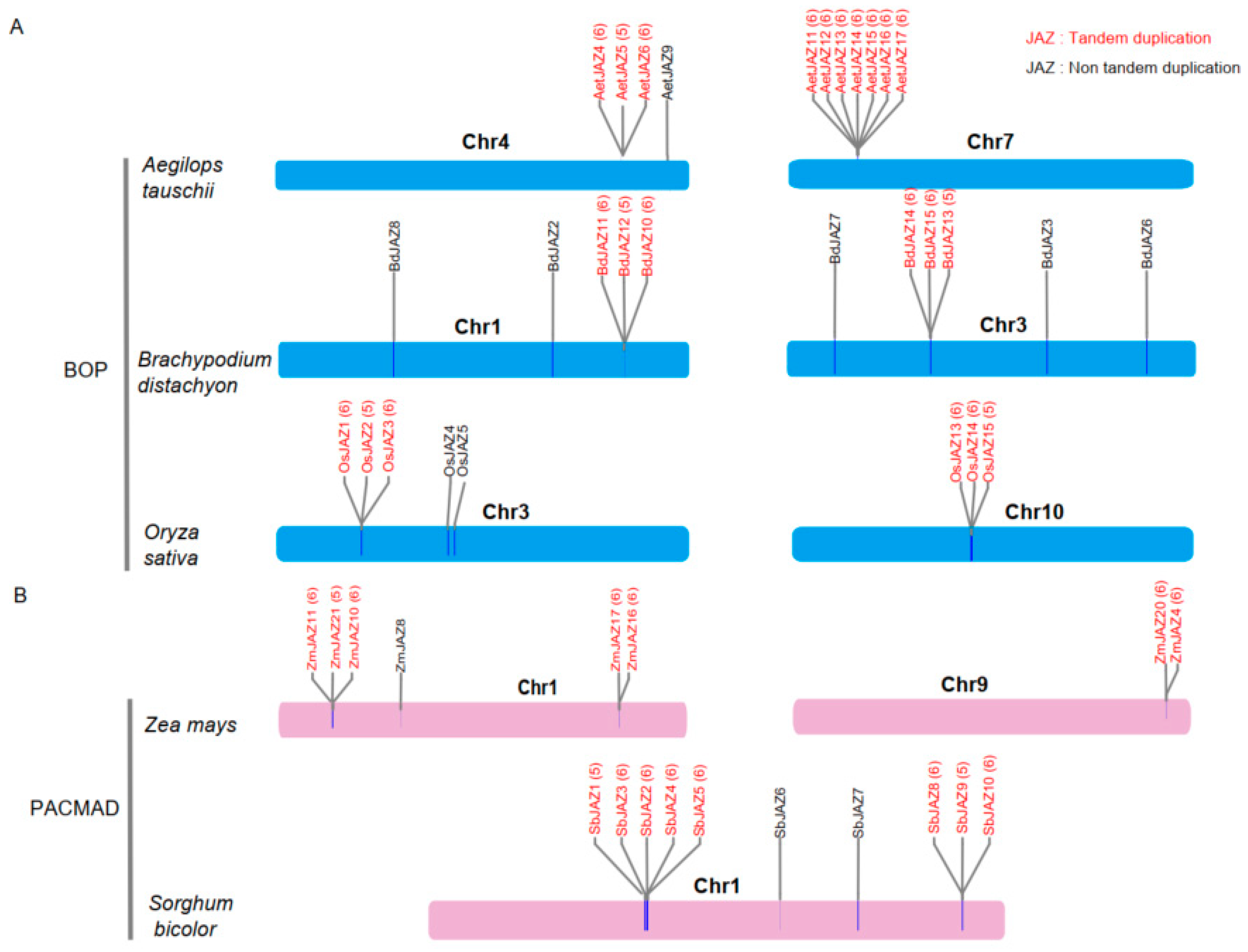 Plants 13 01259 g003