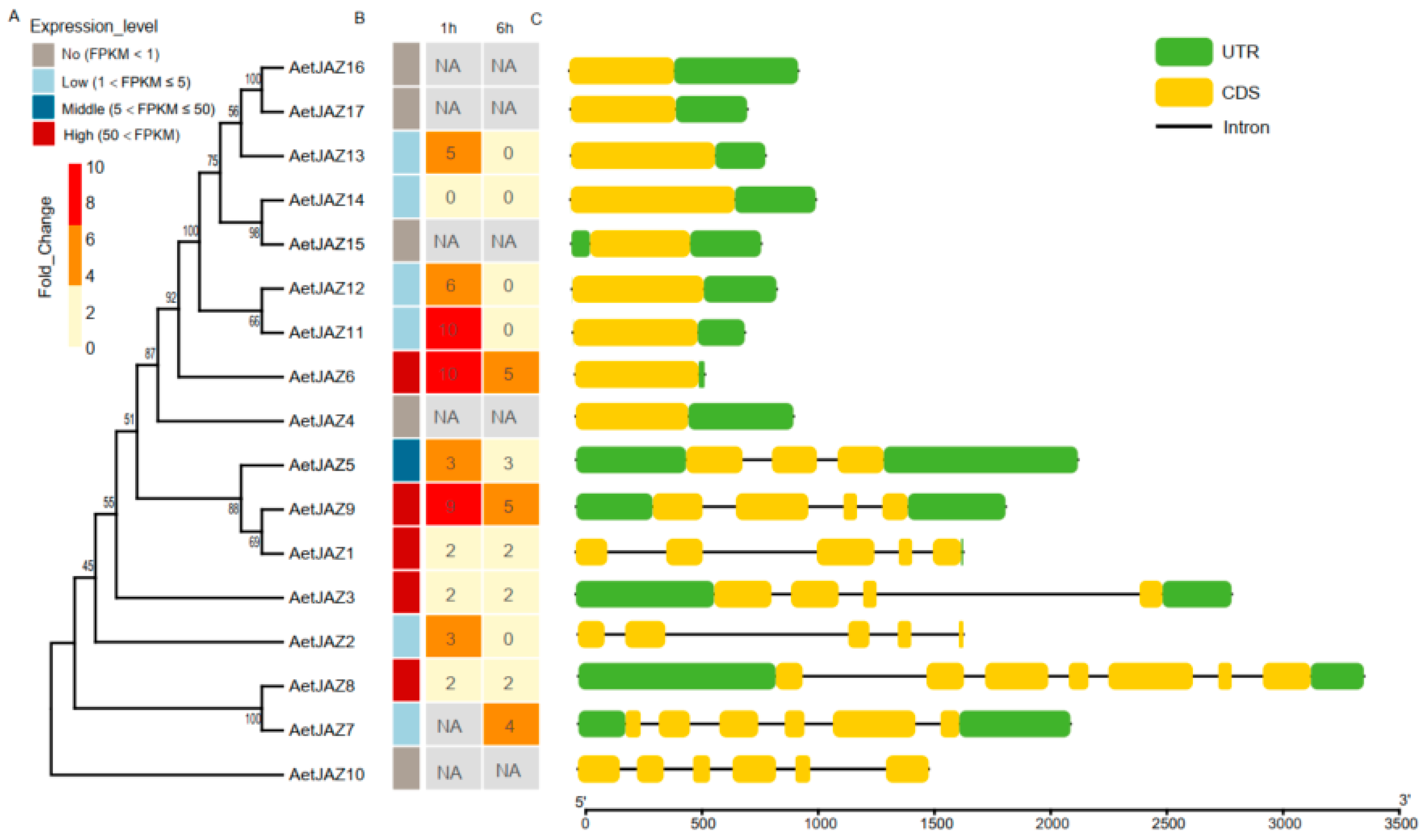 Plants 13 01259 g004